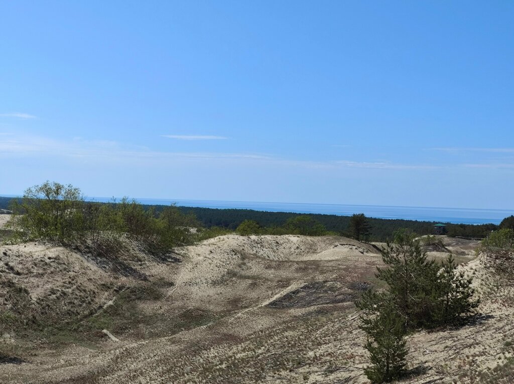 Смотровая площадка Высота Эфа, Калининградская область, фото