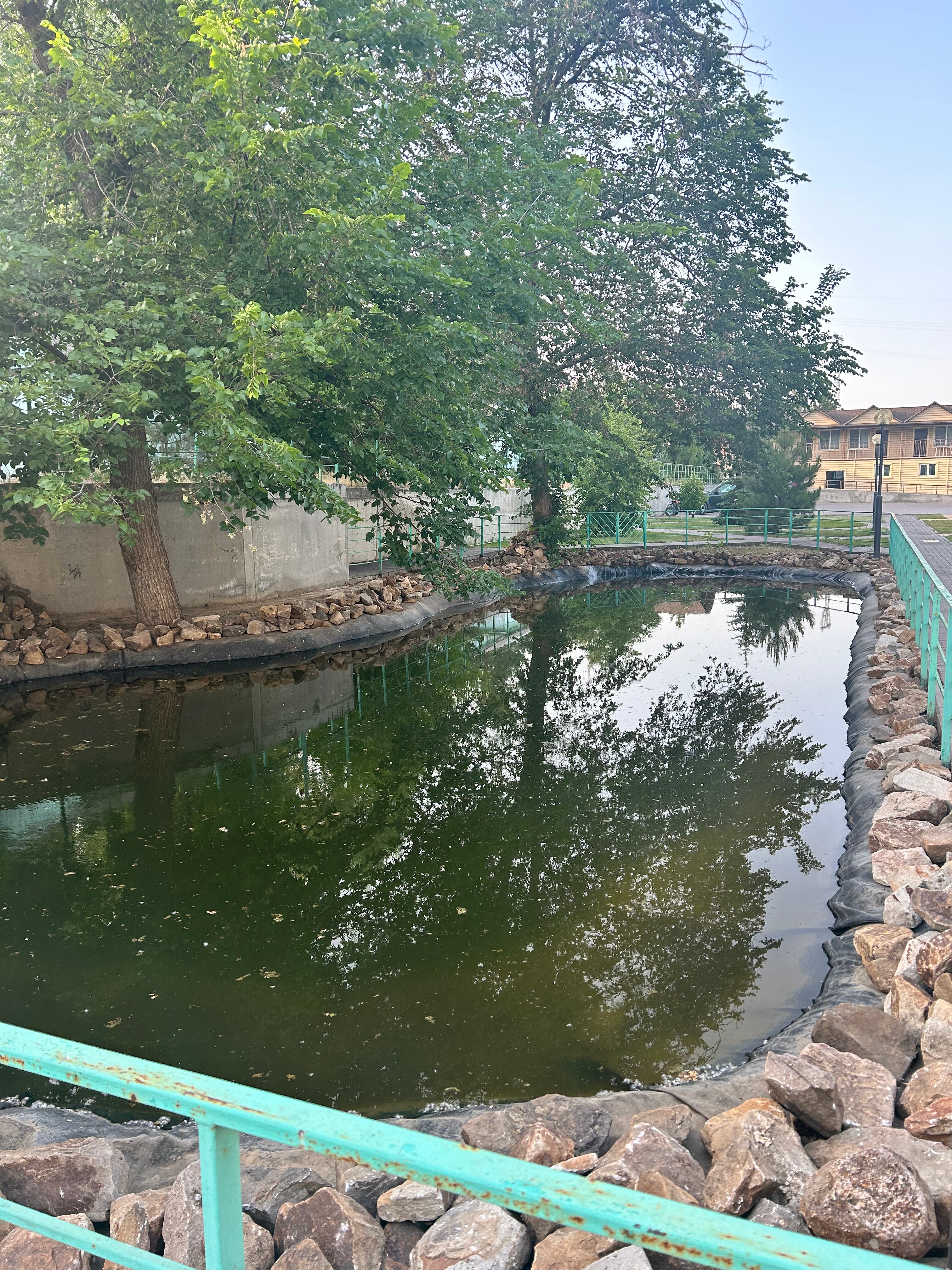 Фото Золотые пески