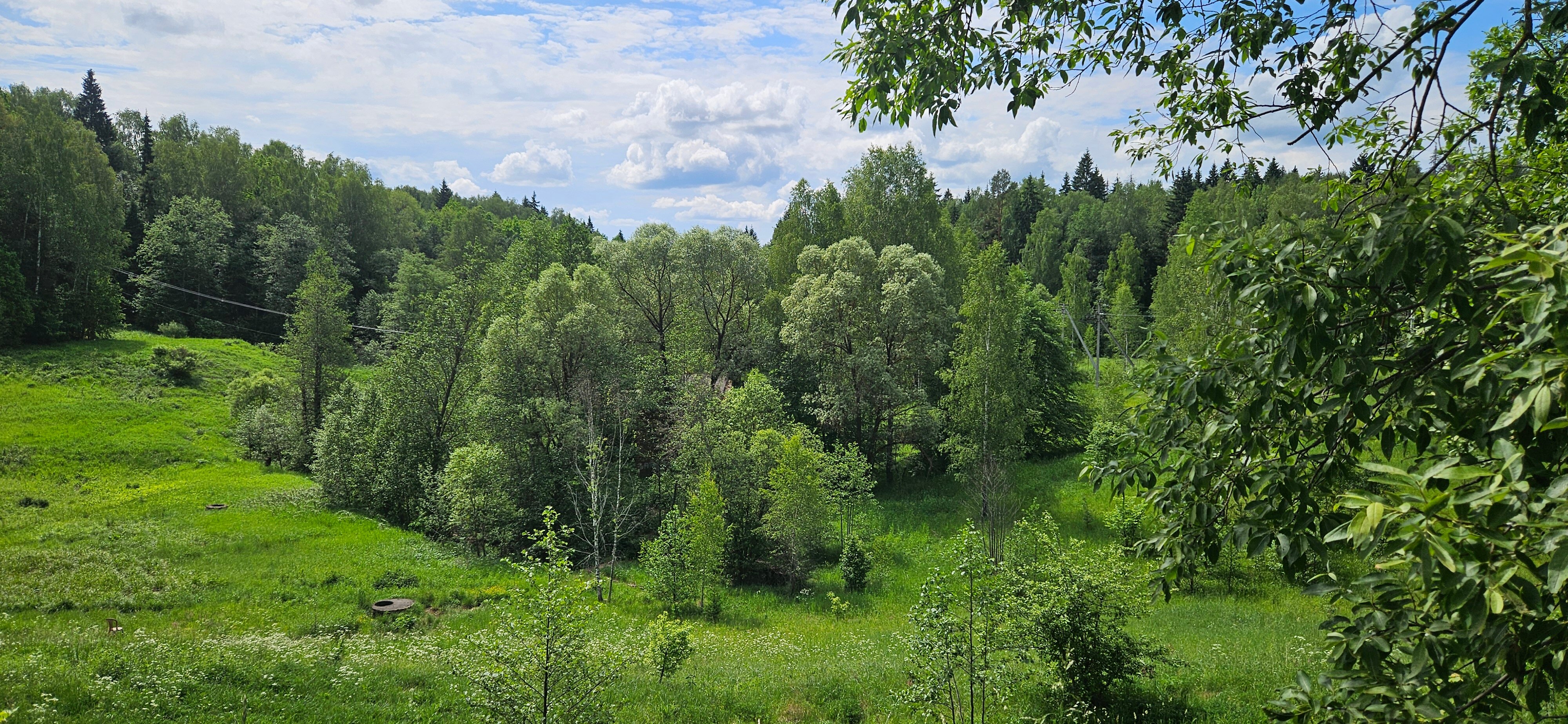 Фото Bereza Country