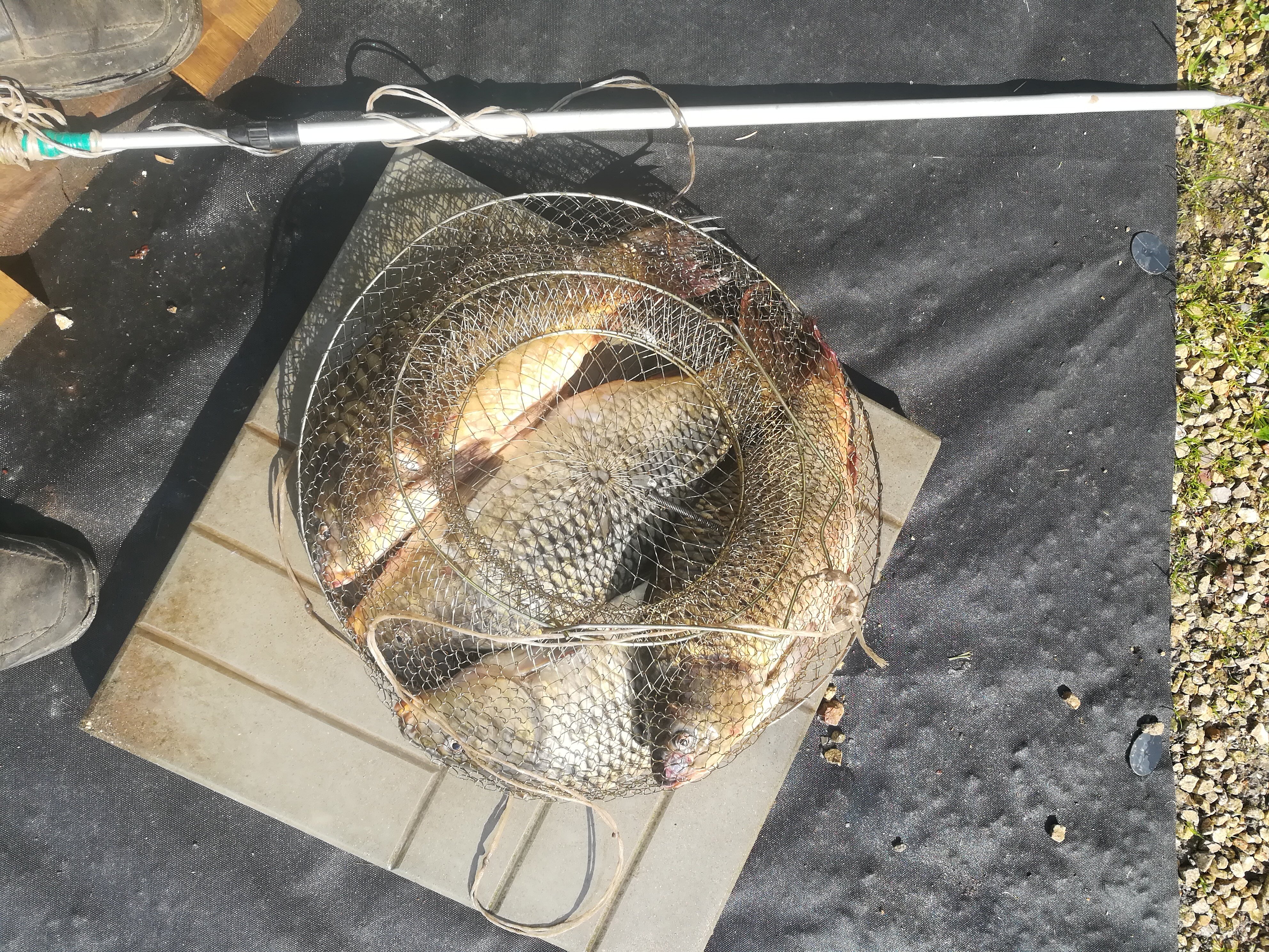 Фото Гордеево-Парк