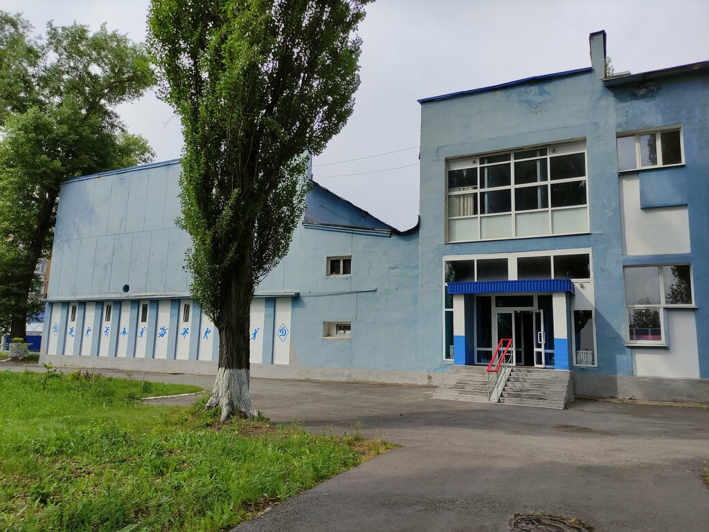 Sports club Drinovsky Top Team, федерация смешанных единоборств, Lipetsk, photo