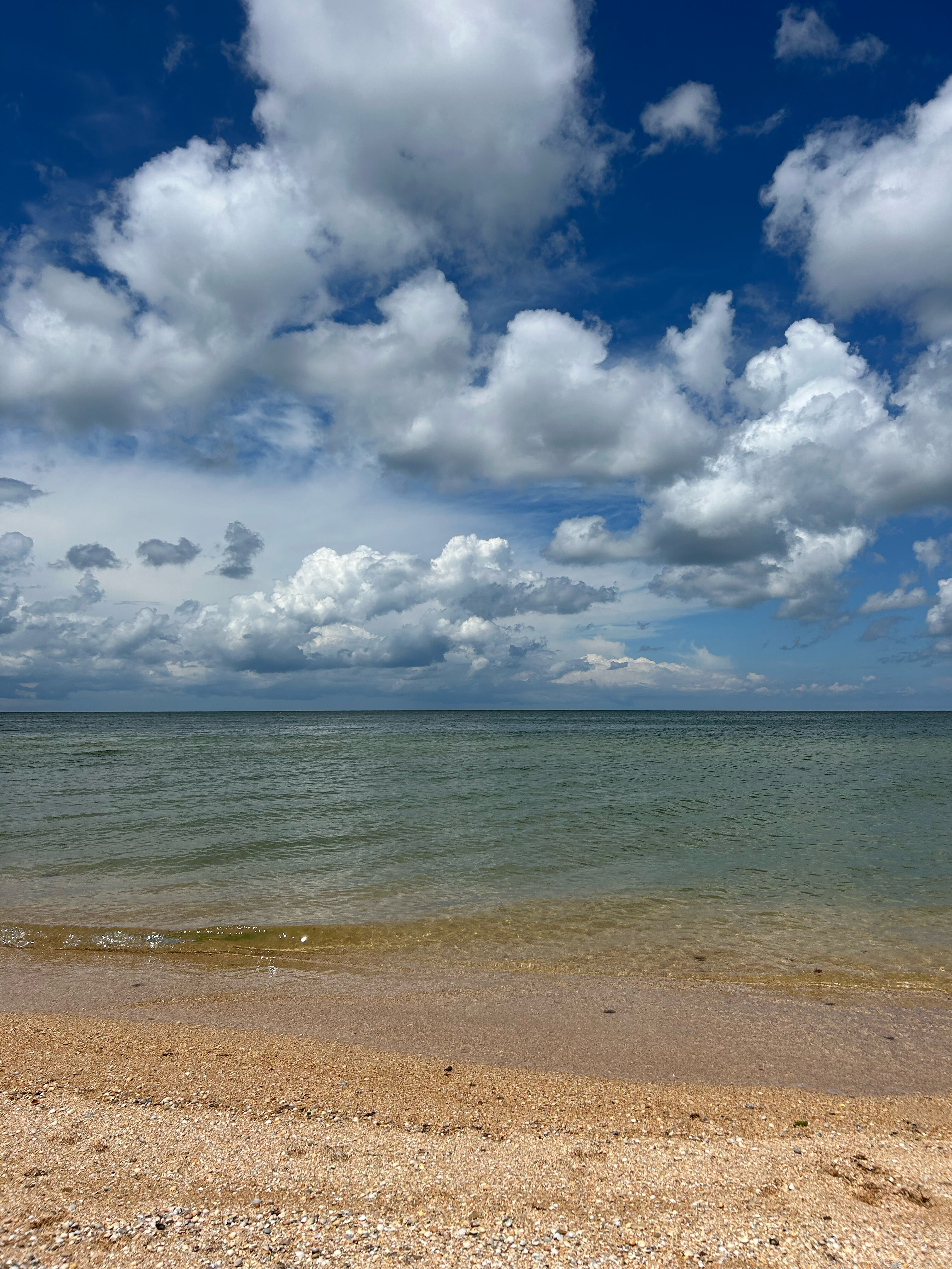 Фото У реки