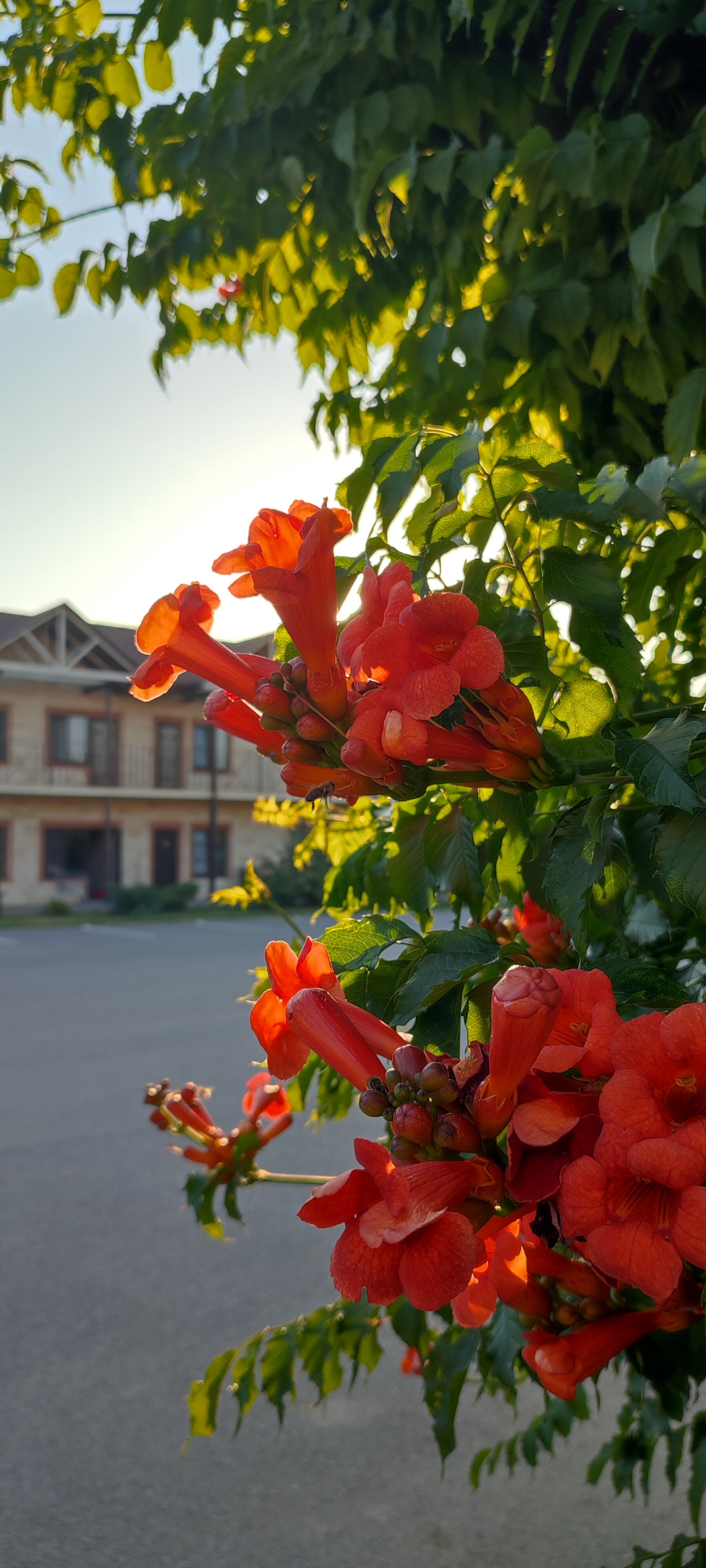 Фото Старая мельница