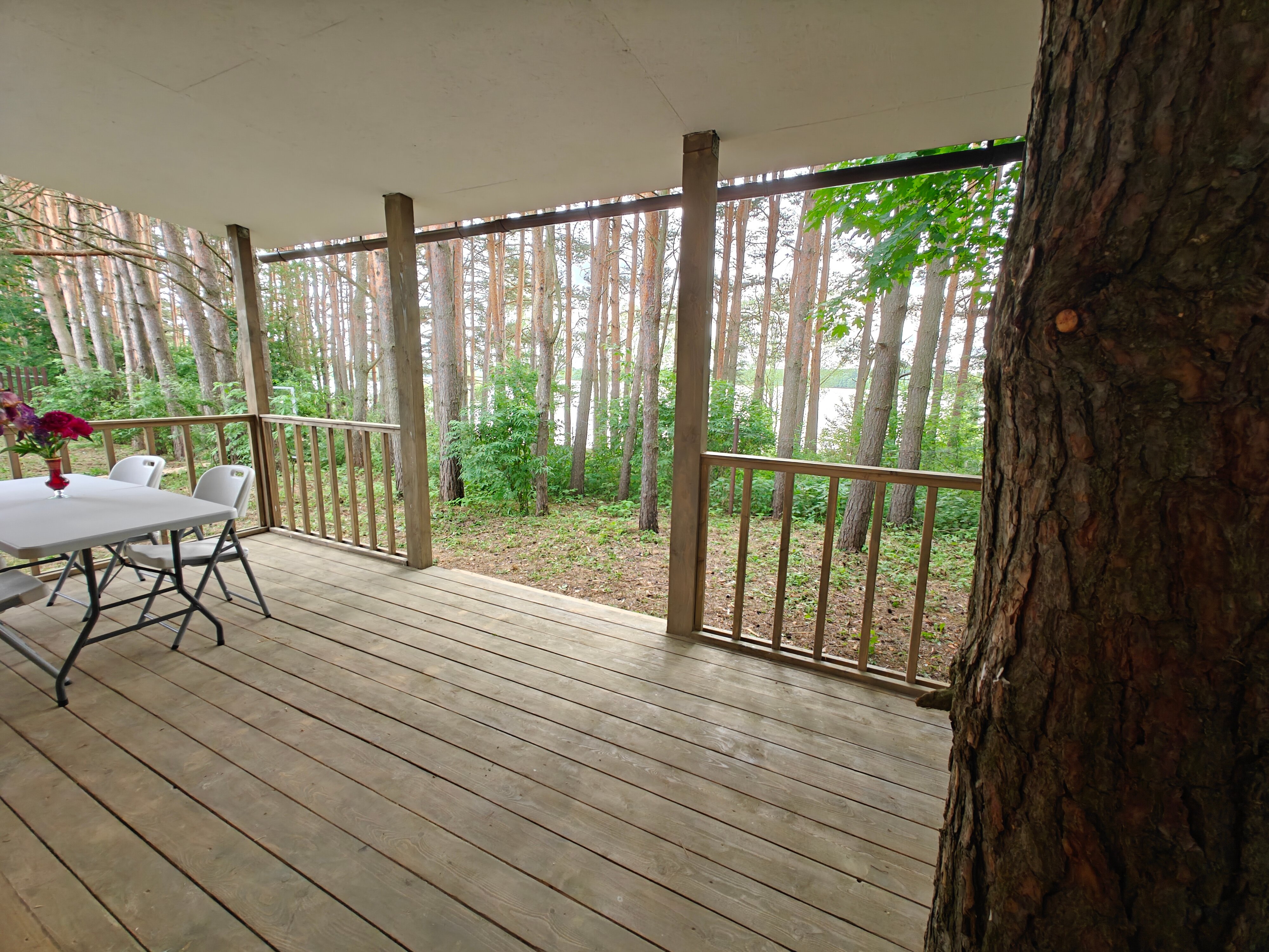 Фото Сосновый берег