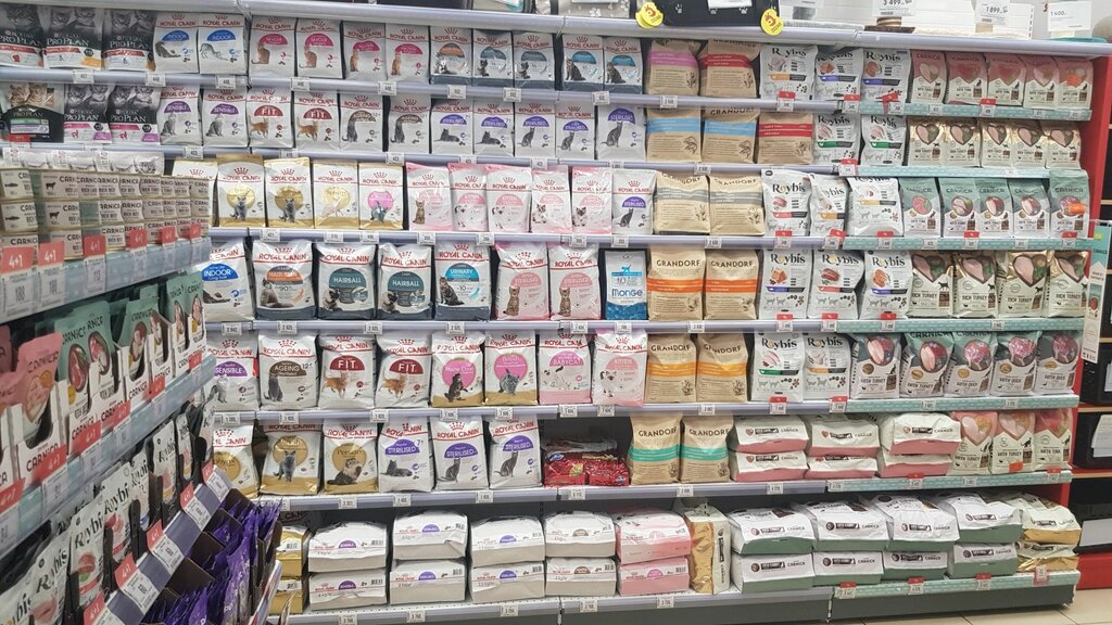 Pet shop Zoozavr, Togliatti, photo