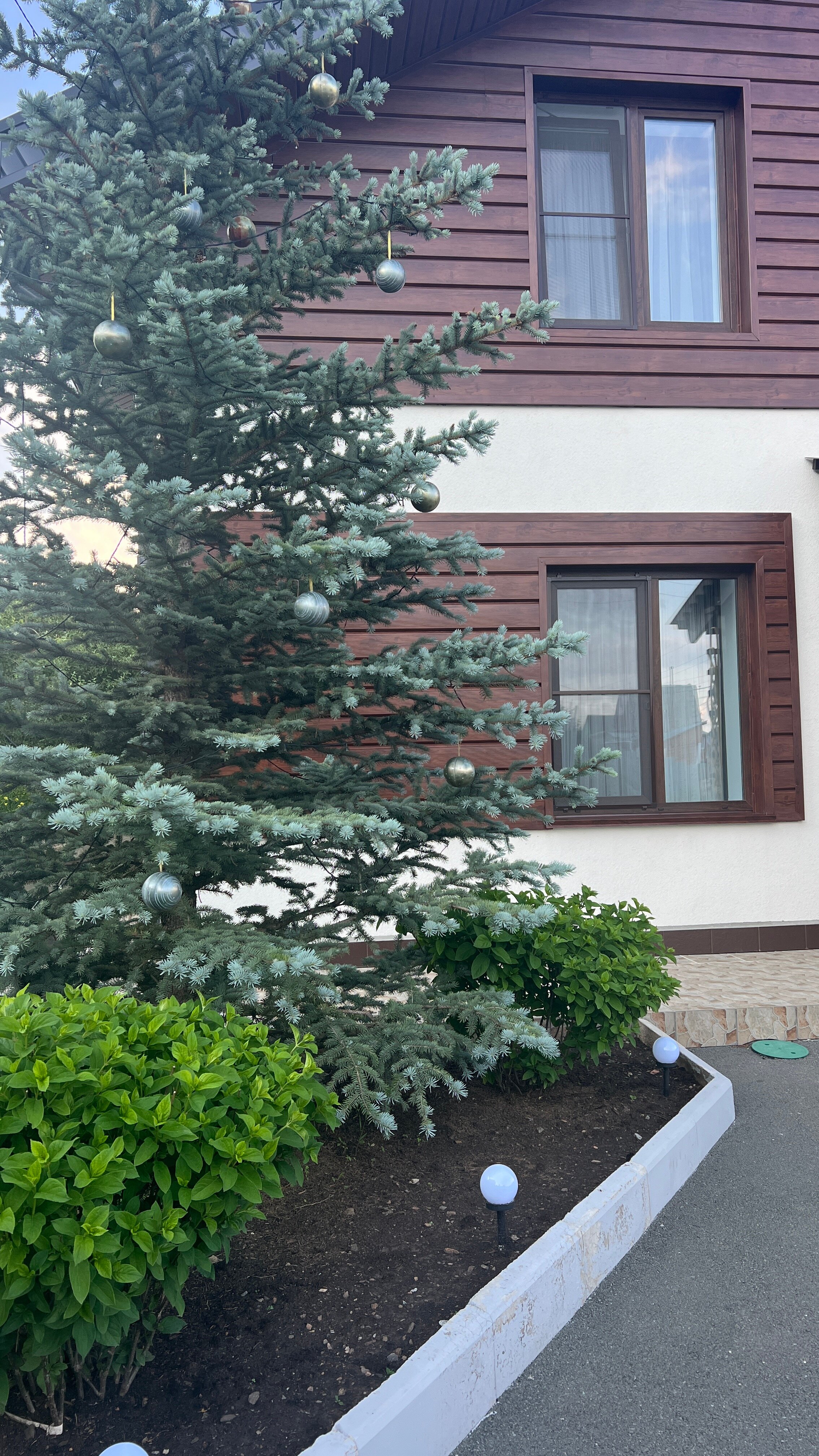 Фото Высота 806