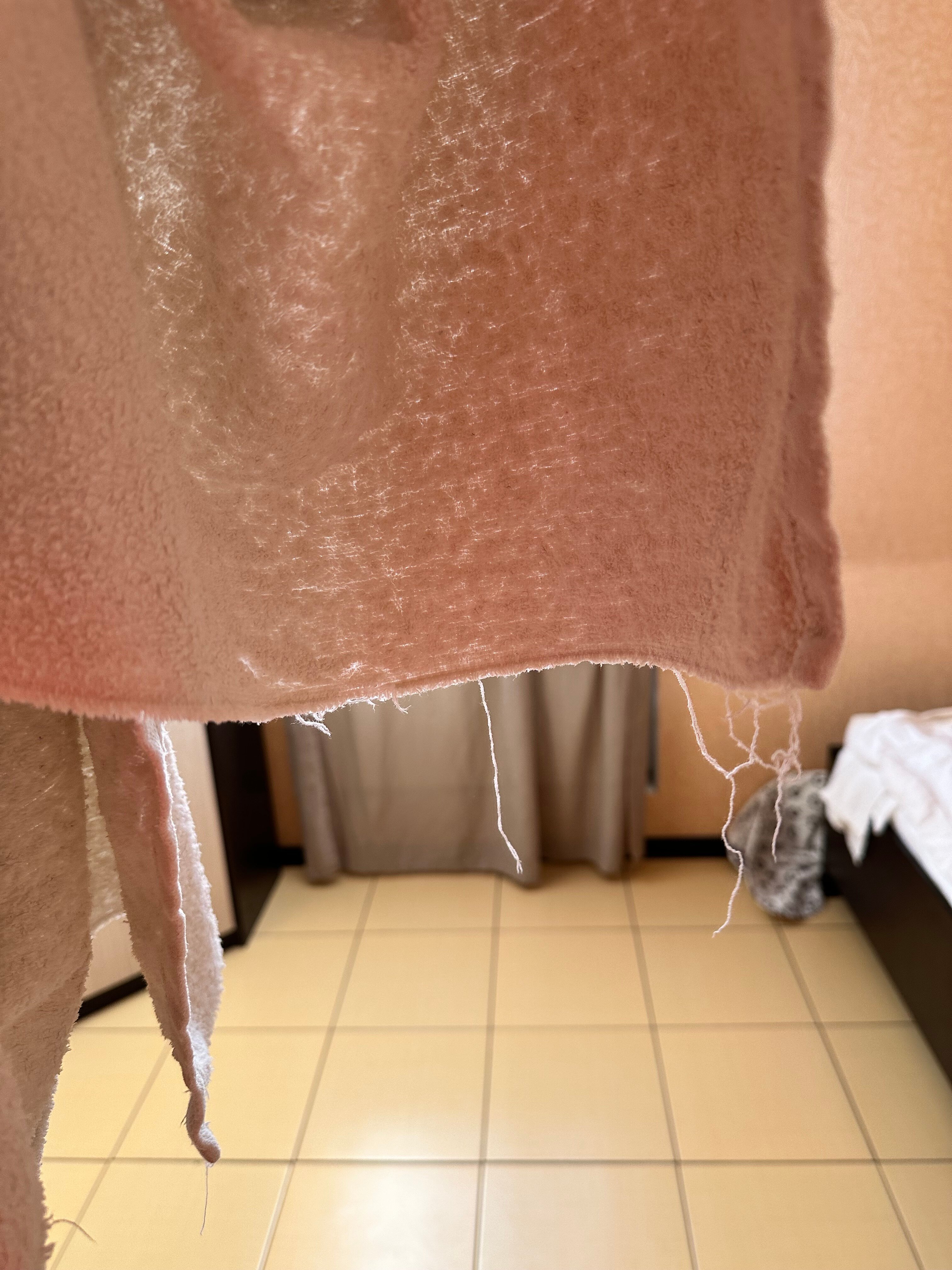 Фото Калина красная