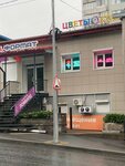 SM flowers (Tolstogo Street, 41В) ، محل زهور