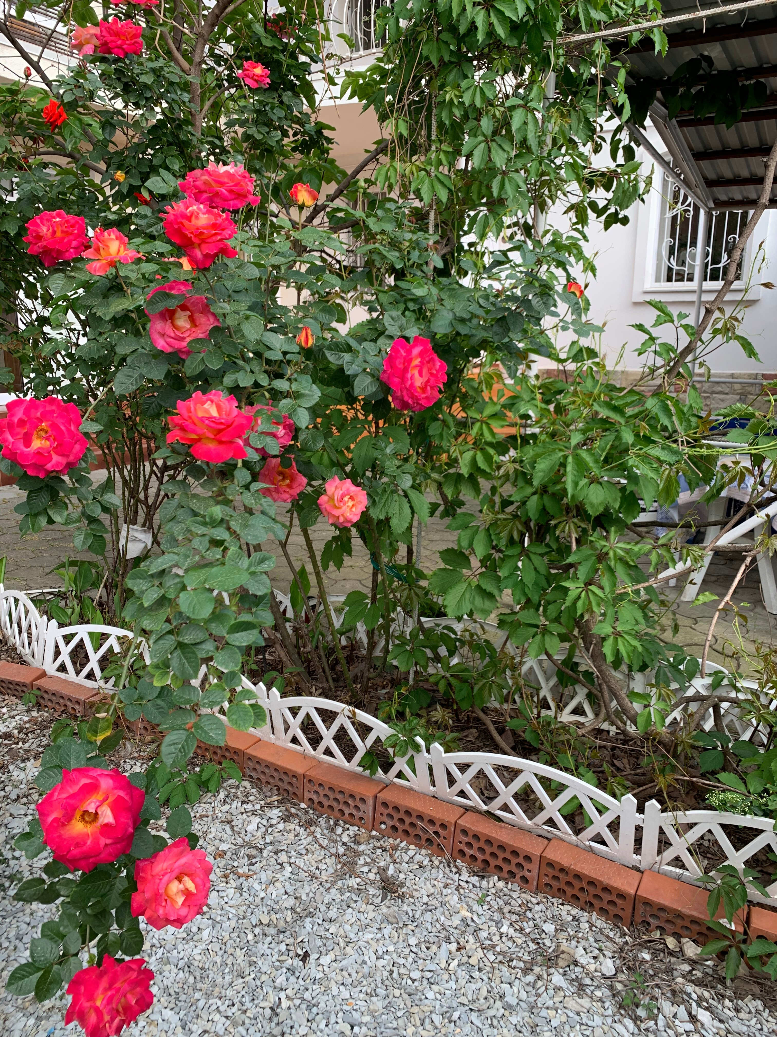 Фото Нинель