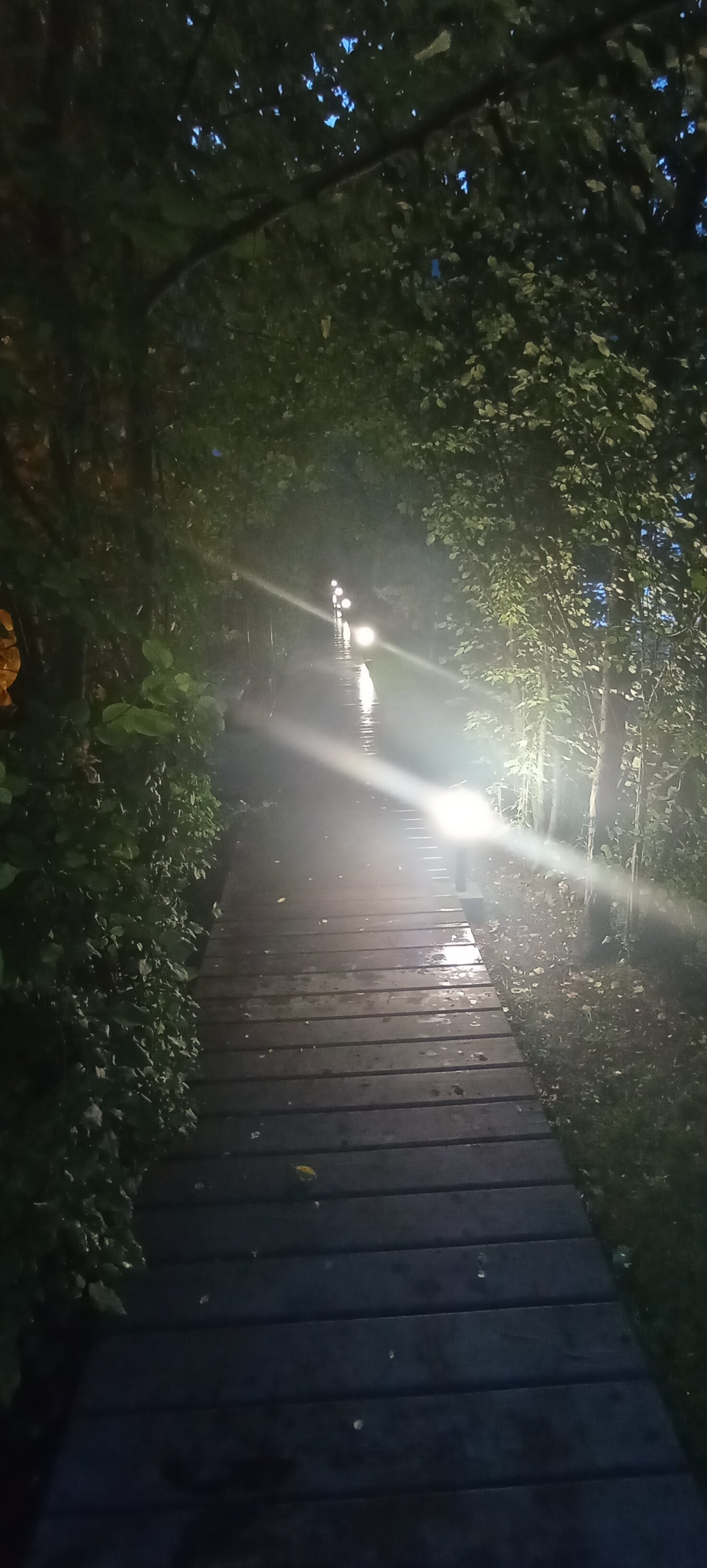 Фото Чемальское лето