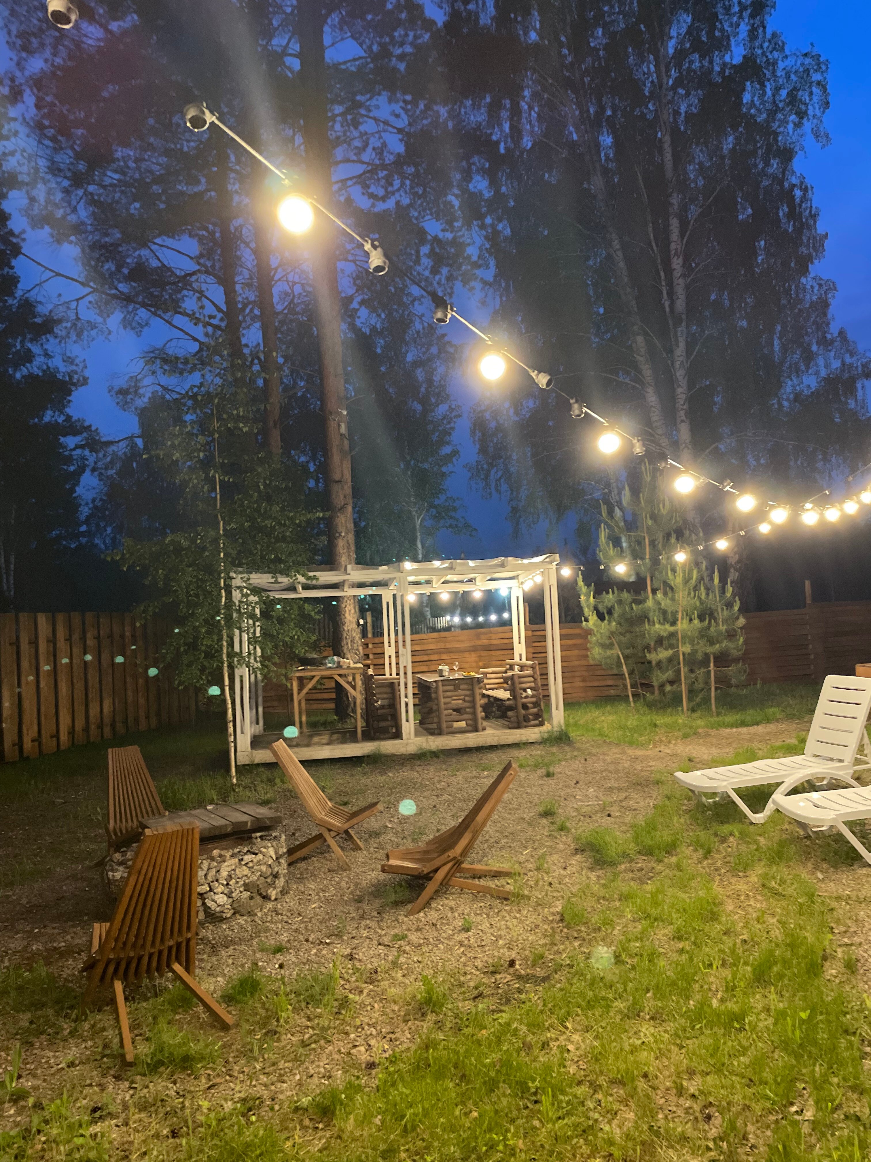 Фото Энергия леса