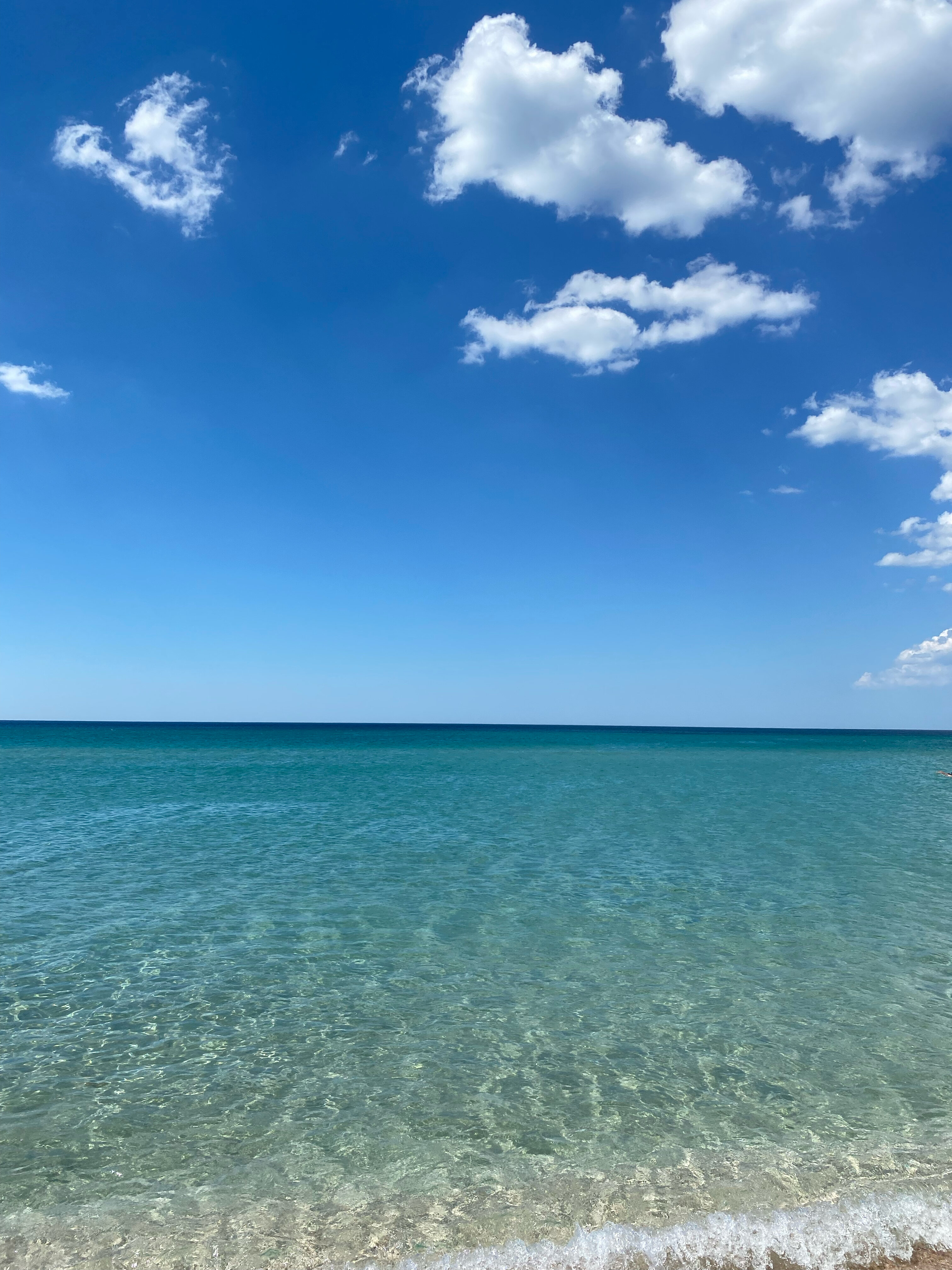 Фото Ранчо Беляус