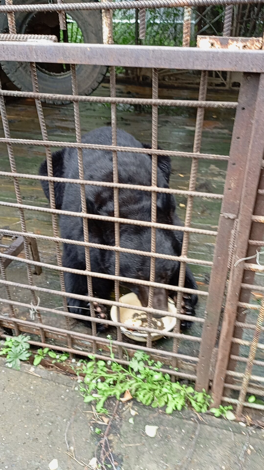 Фото Медвежий угол