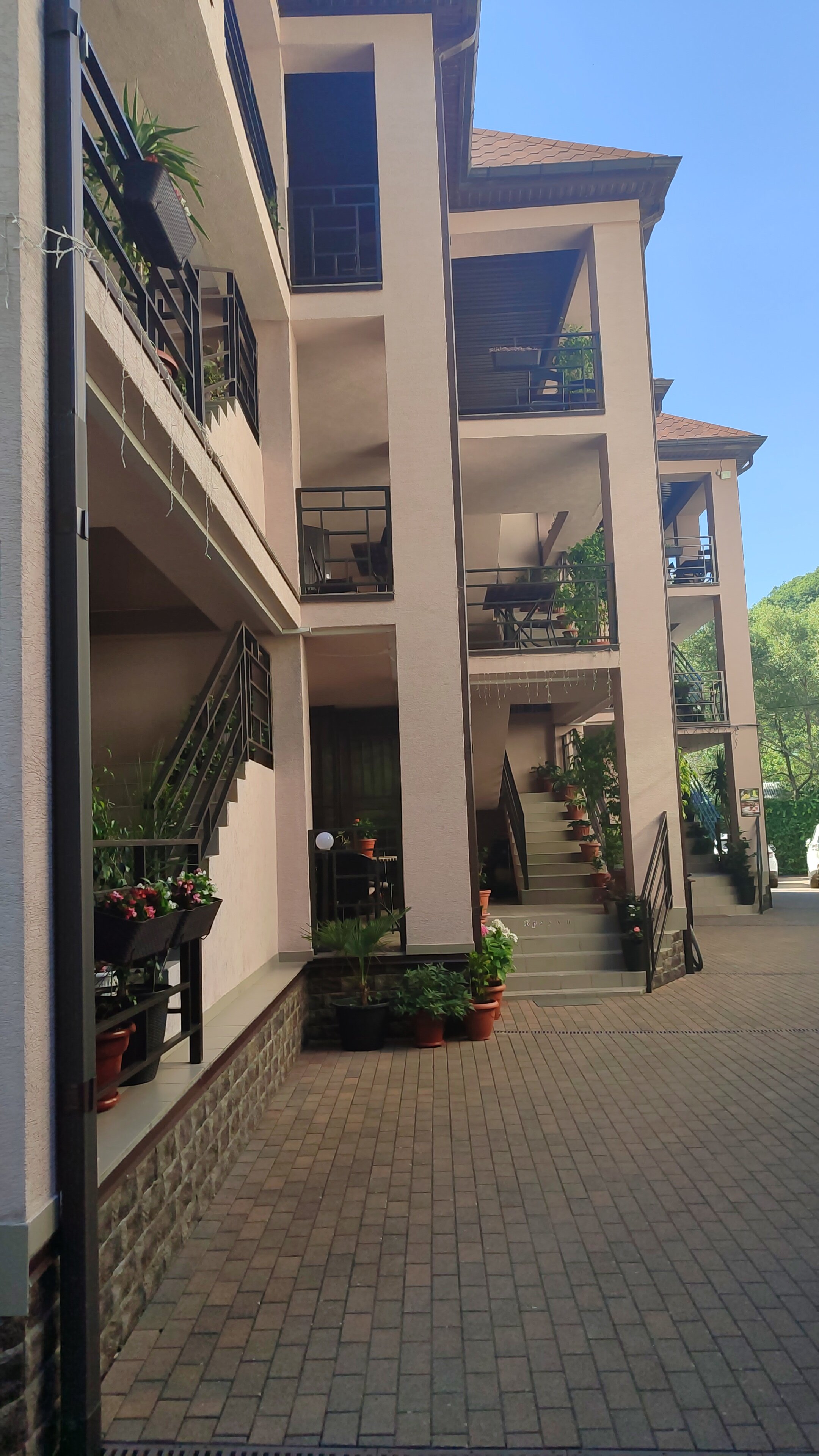 Фото Вероника