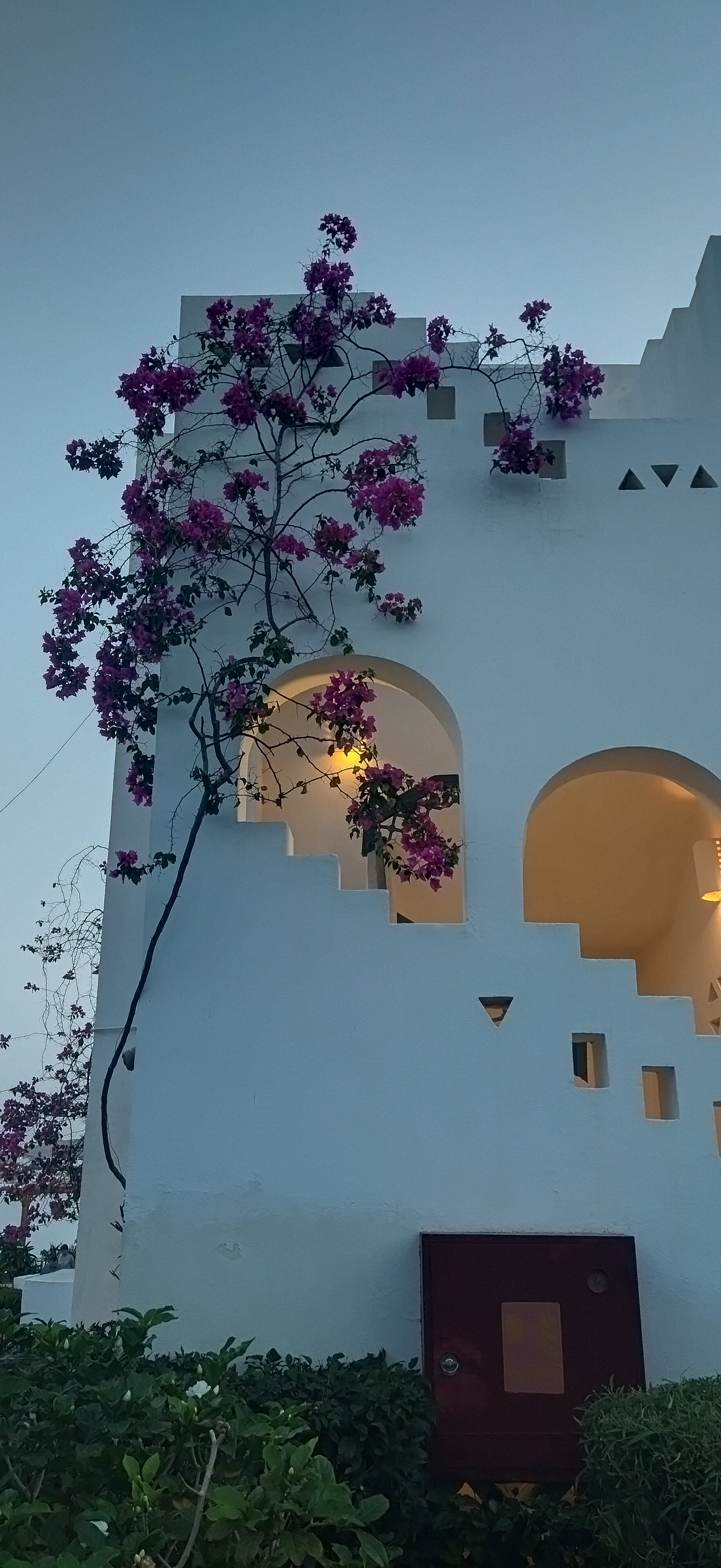 Фото JAZ Neo Naama Bay