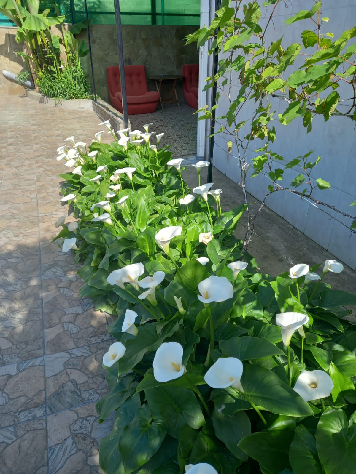 Фото Коттедж Отдых