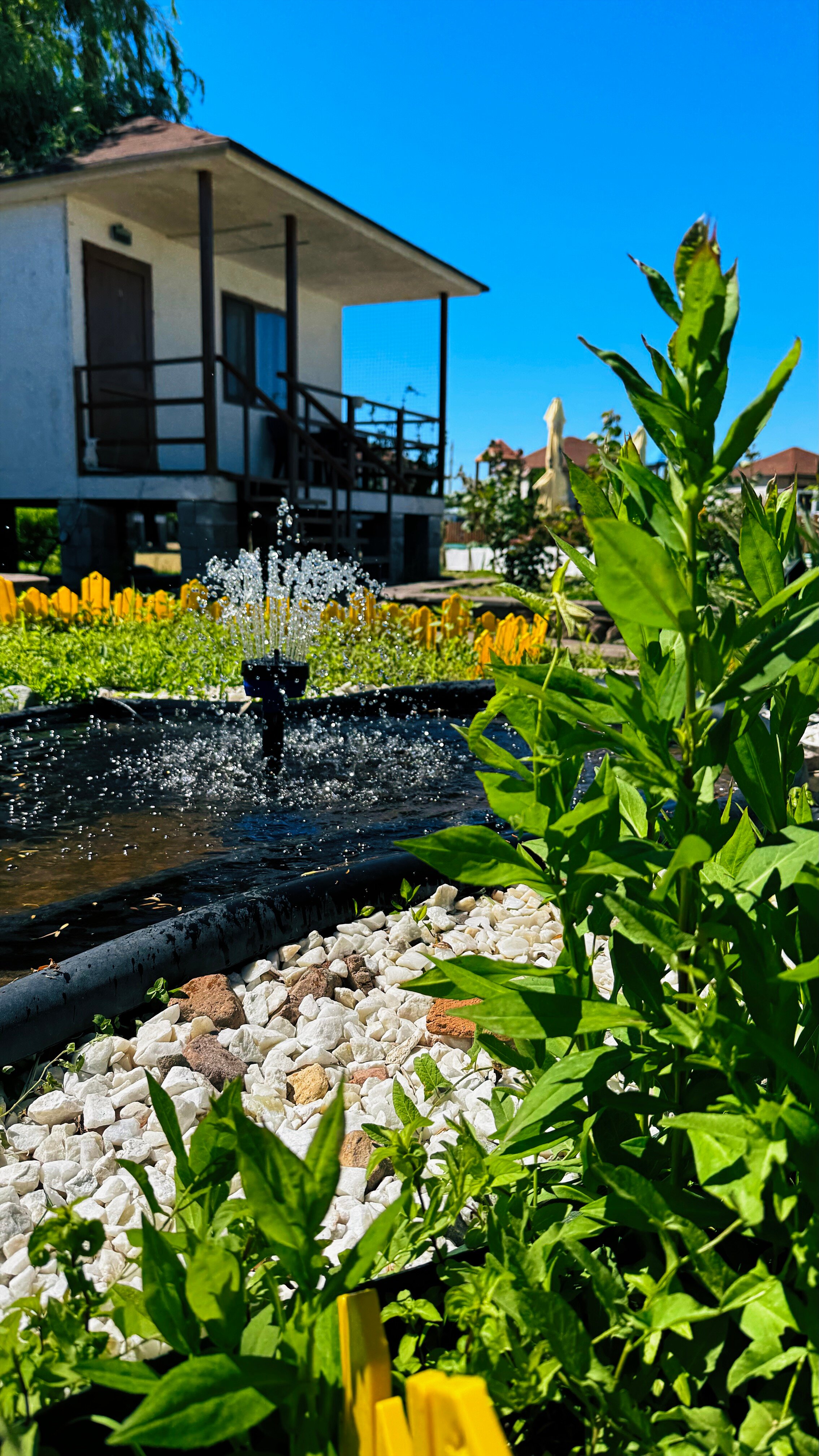 Фото Ямайка