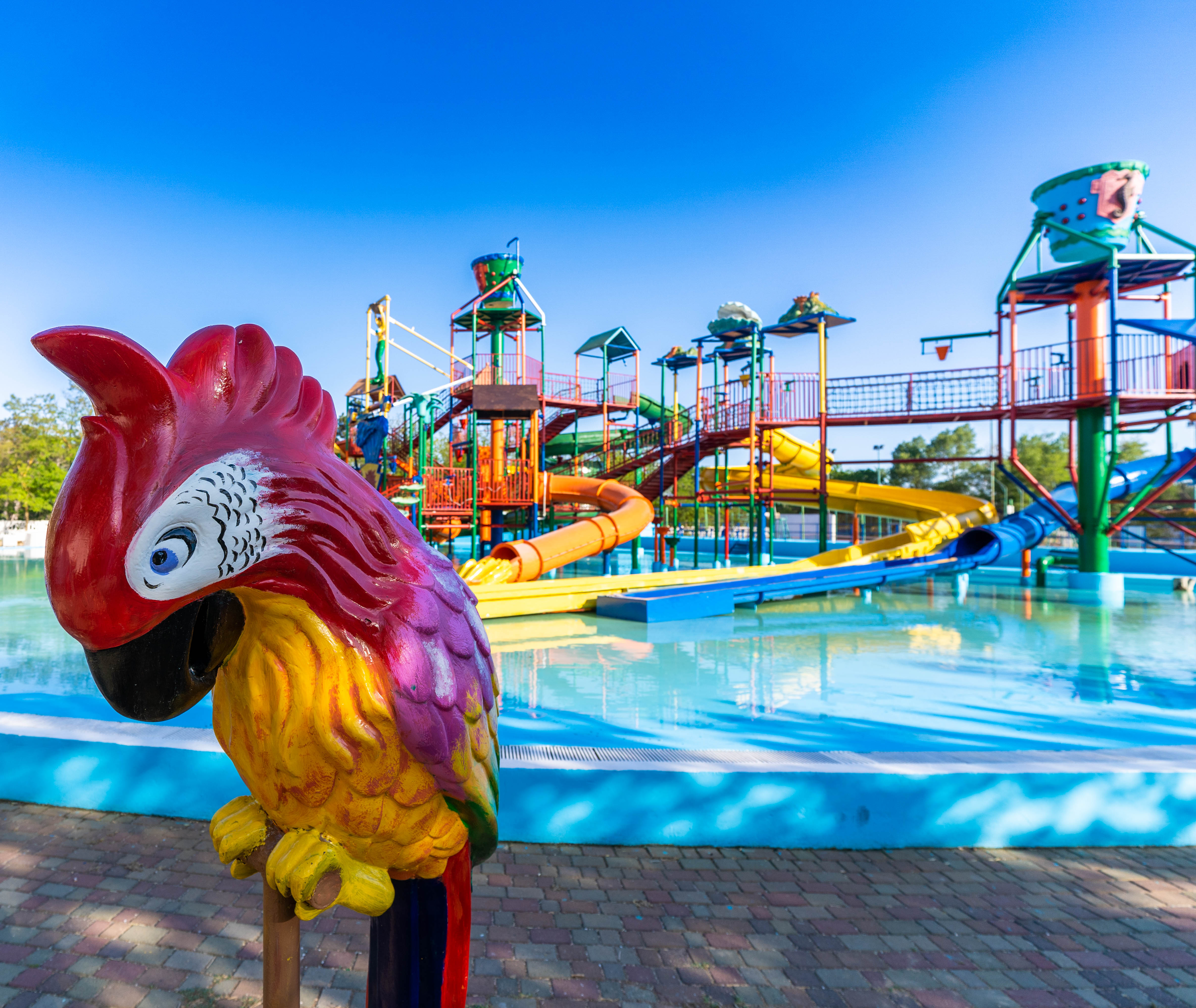 Фото Азовский