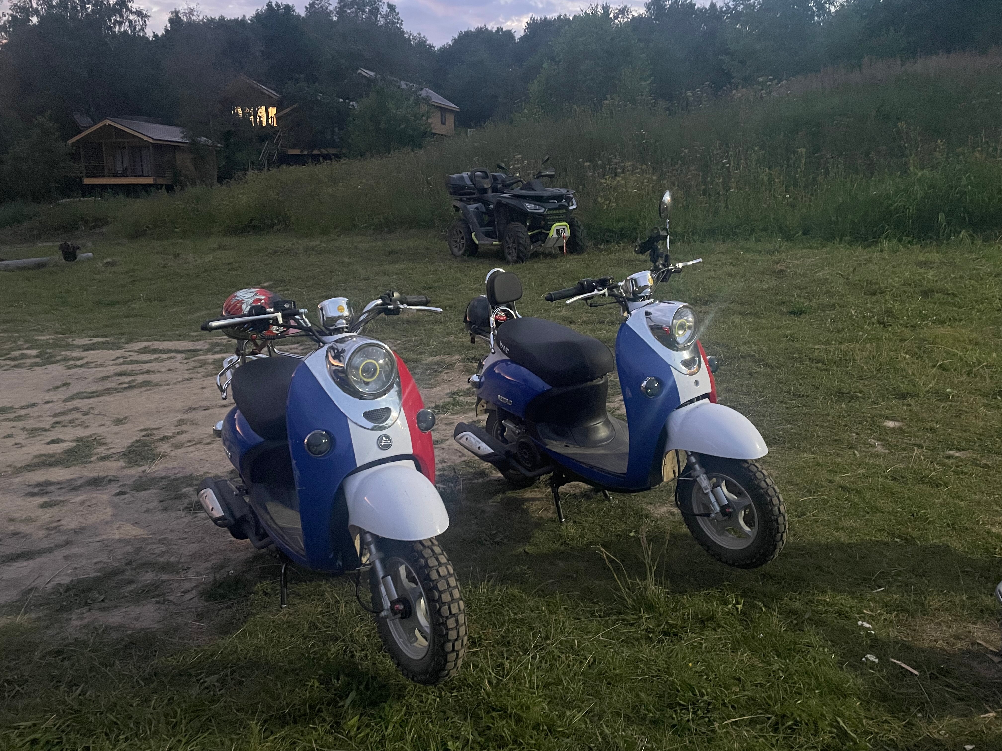 Фото Веселые гуси