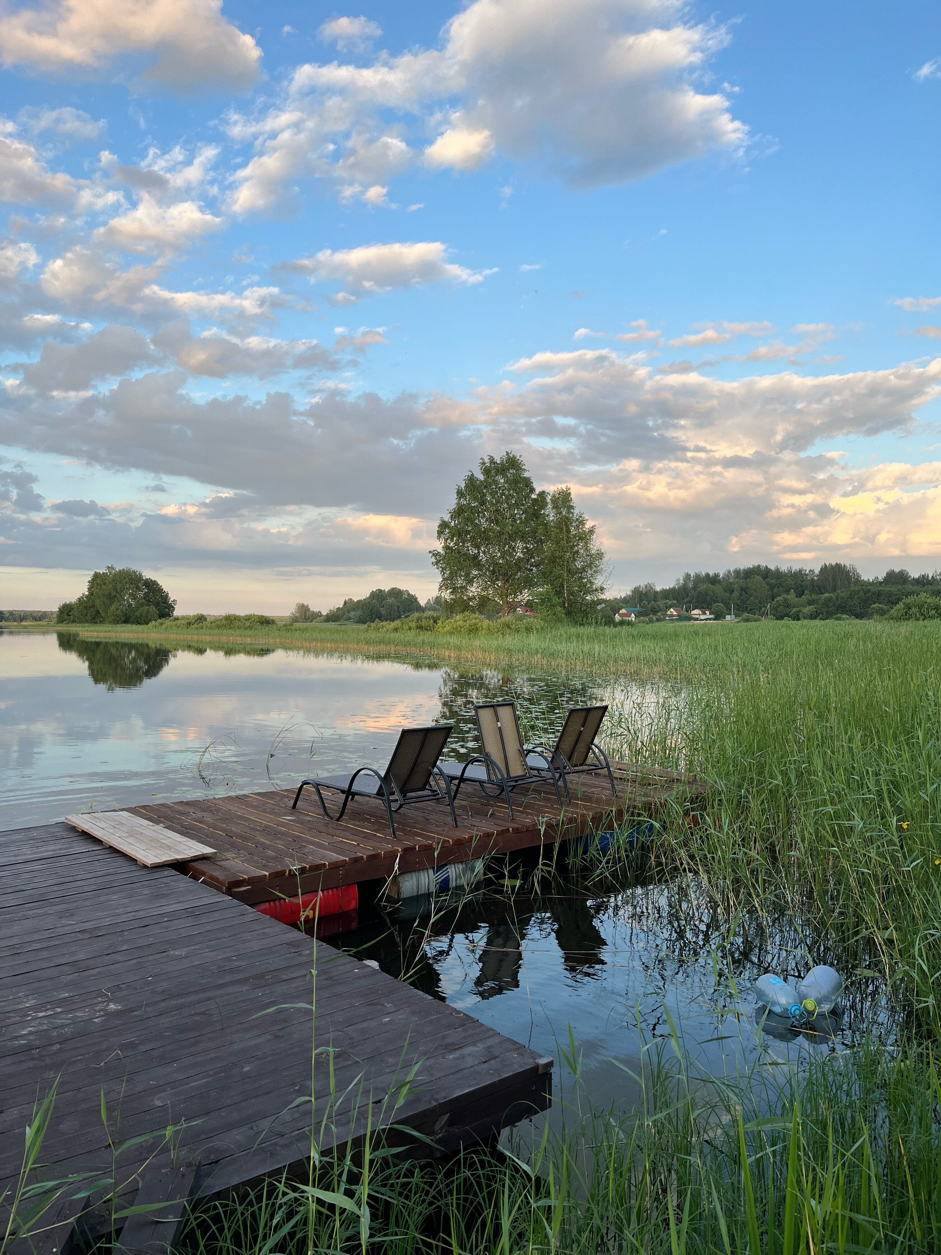 Фото Свобода