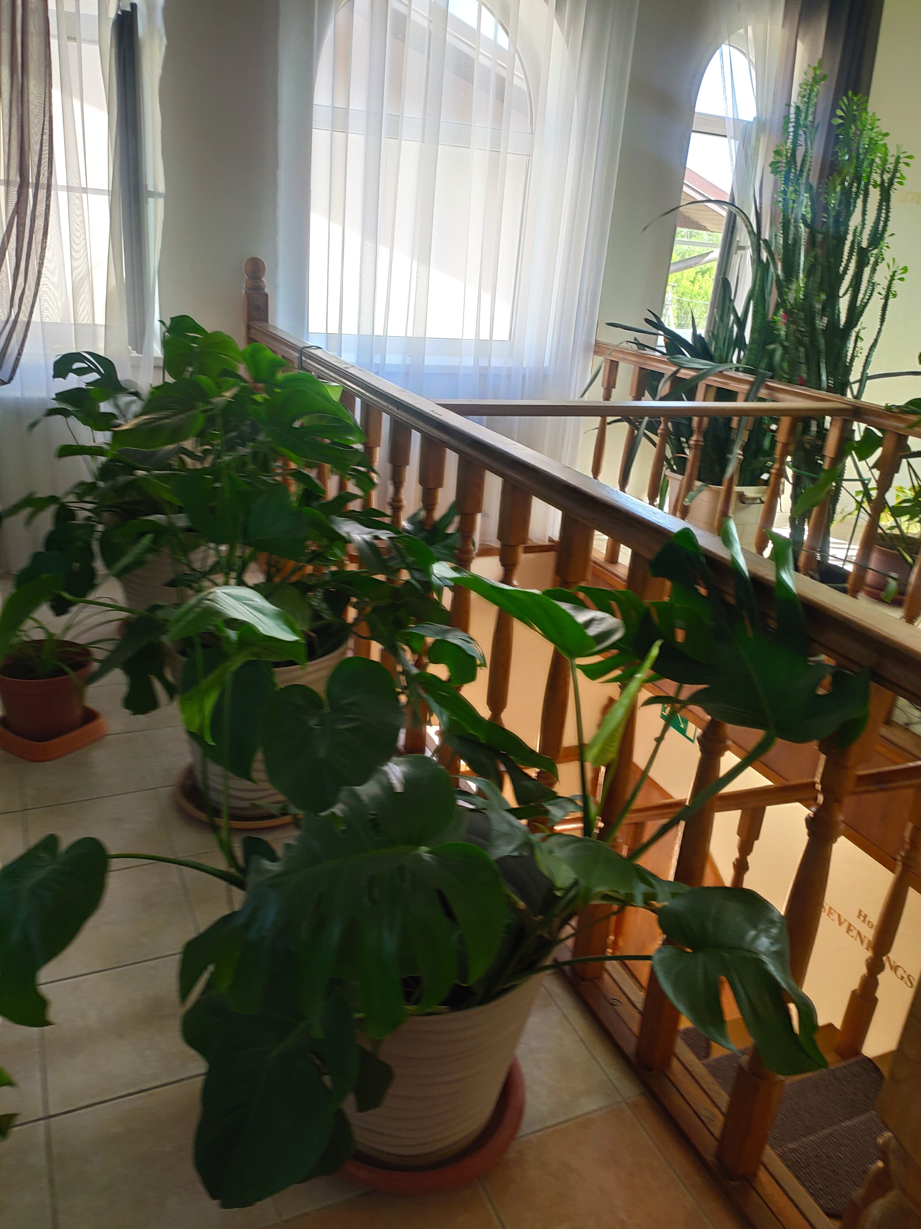 Фото Семь королей