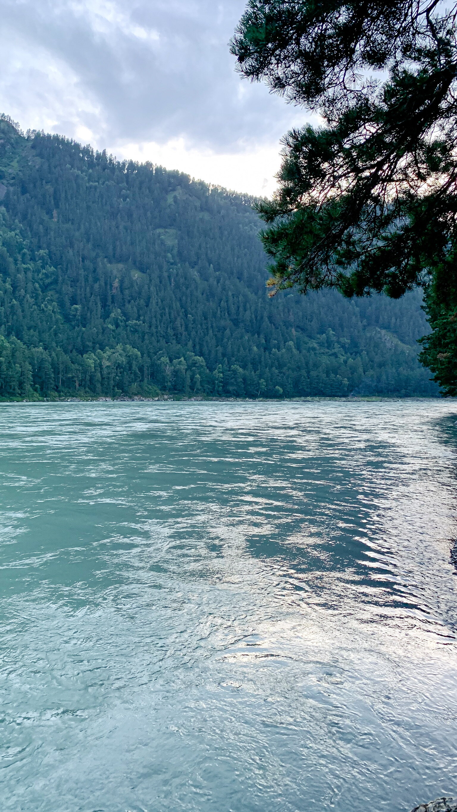 Фото Друзья