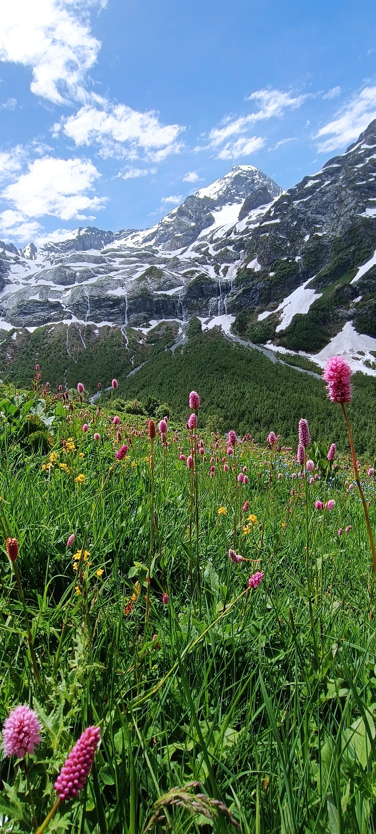 Фото Архыз Сити, Софийская поляна