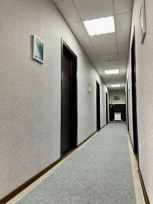 Фото Колибри