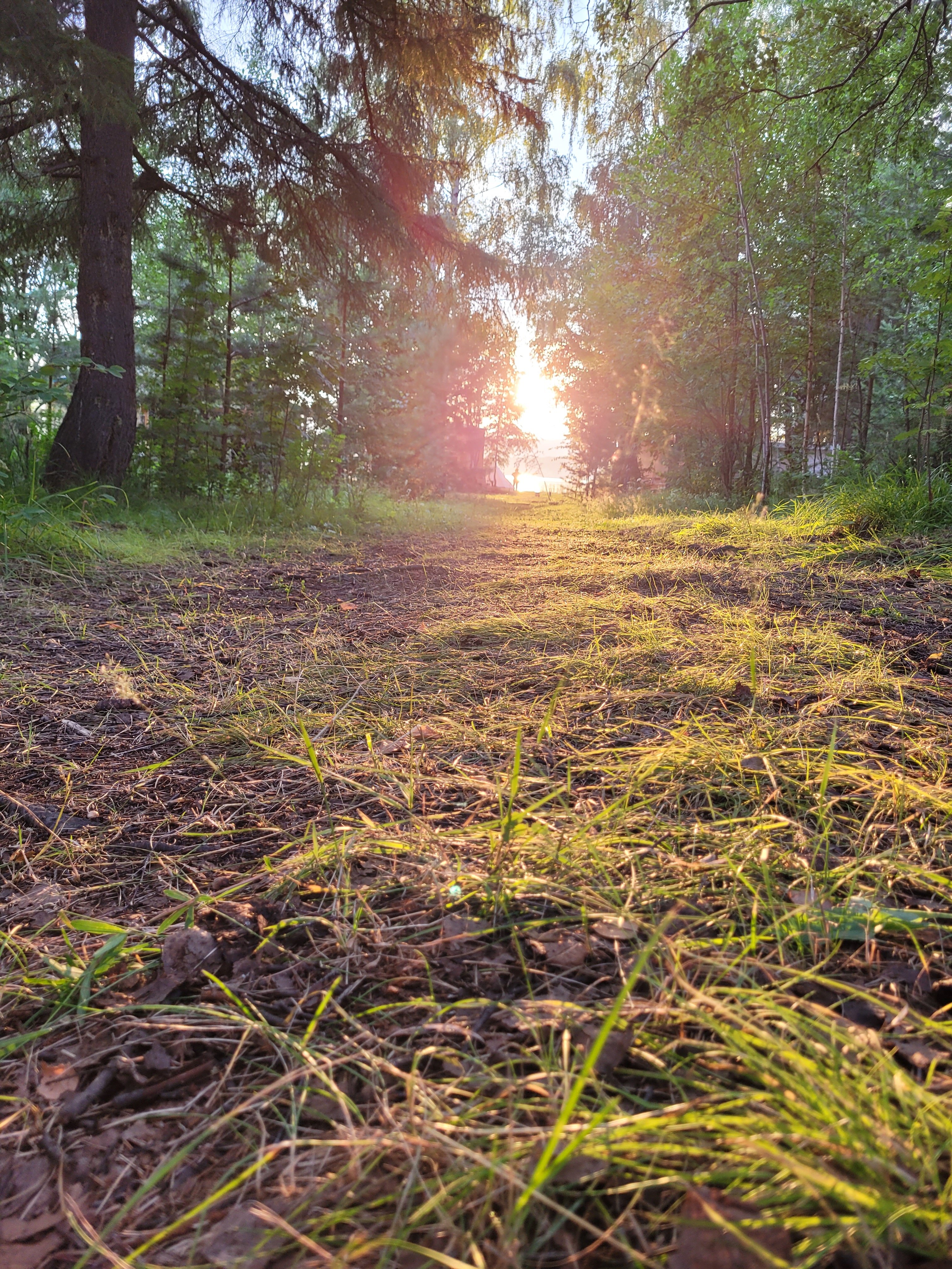 Фото Вогульский крокодил