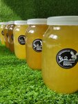 Чудомёд.рф (Novorossiyskaya ulitsa, 118), honey and beekeeping