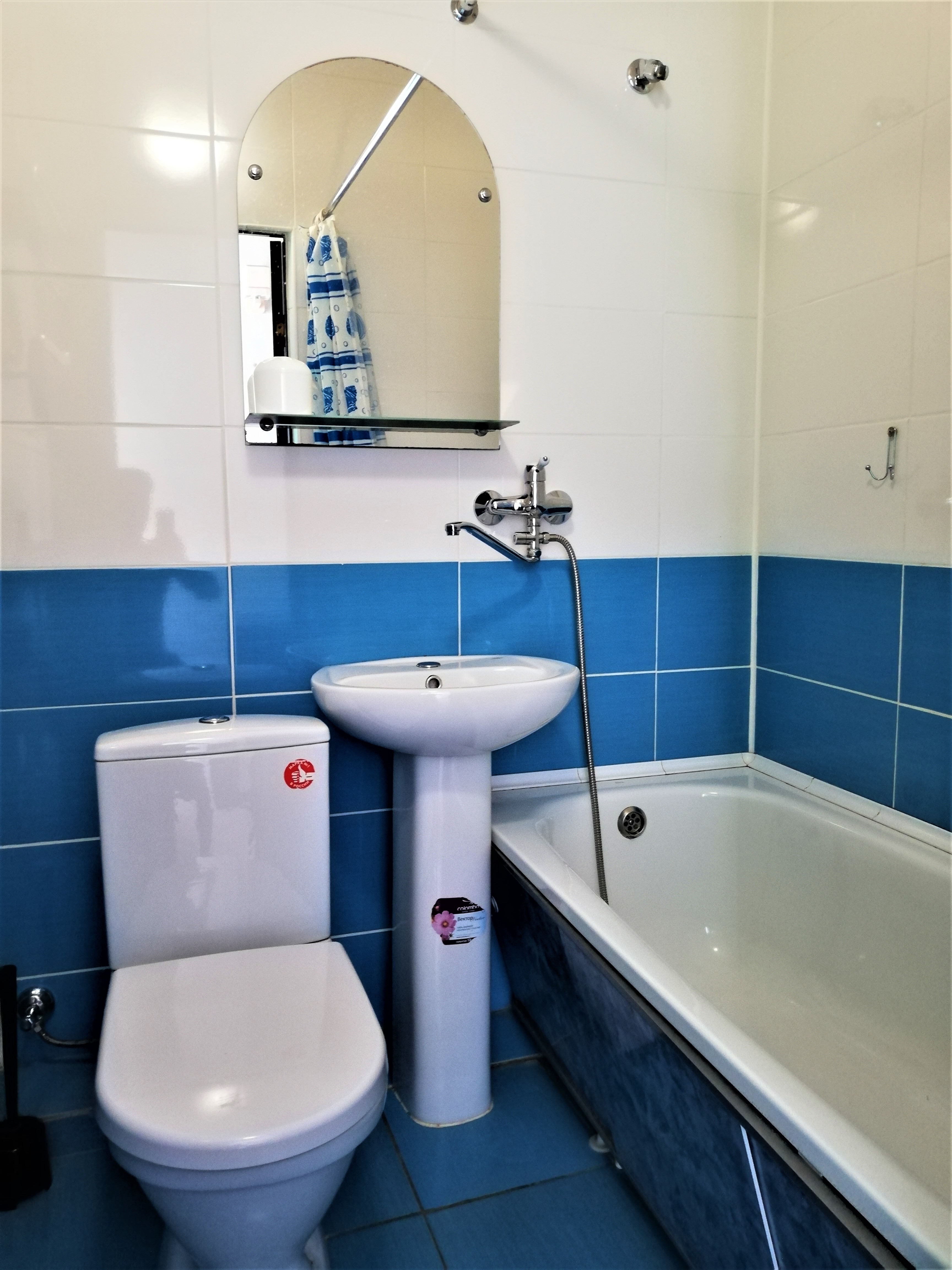 Фото Виноград