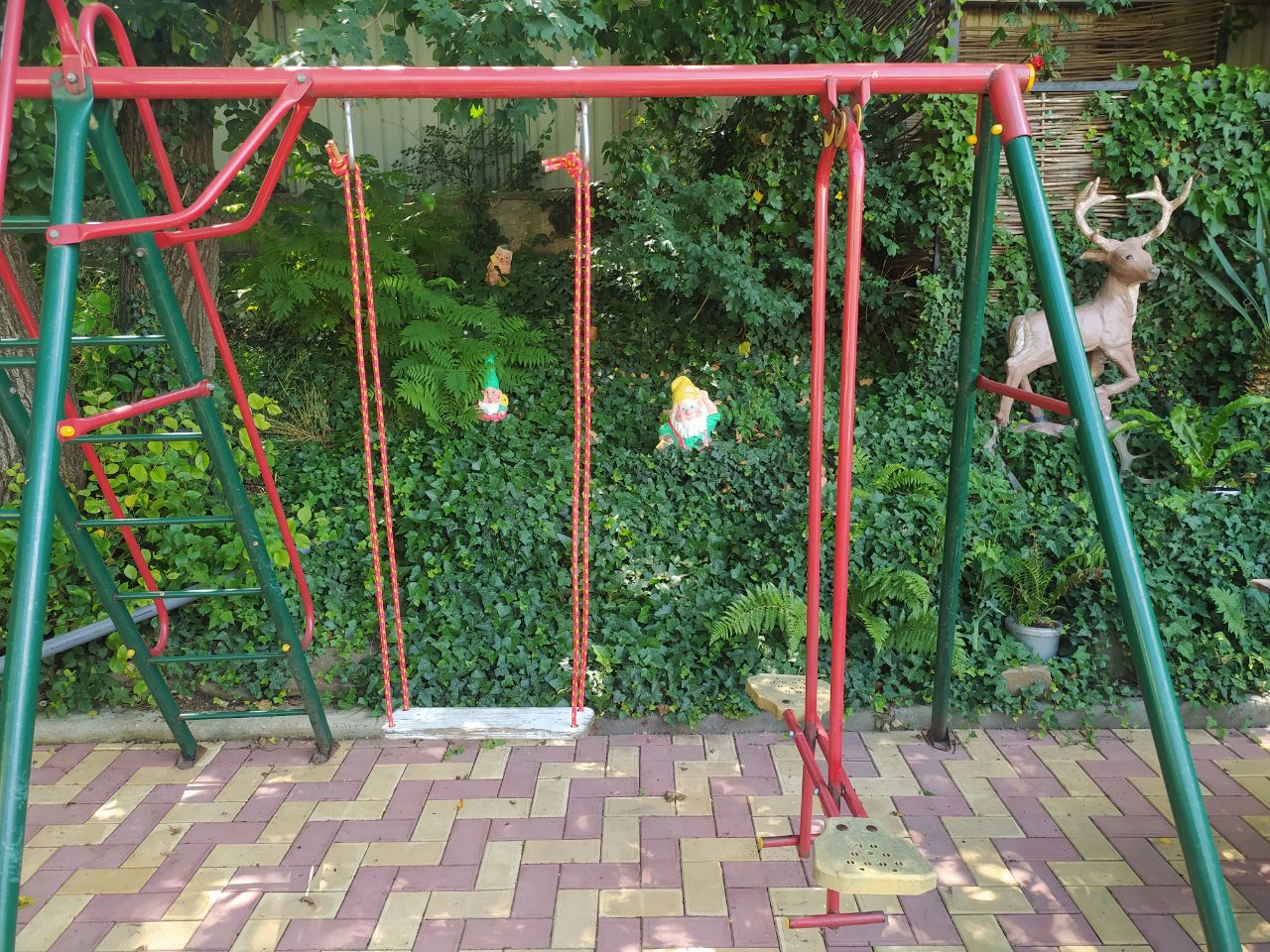 Фото Черноморская лоза