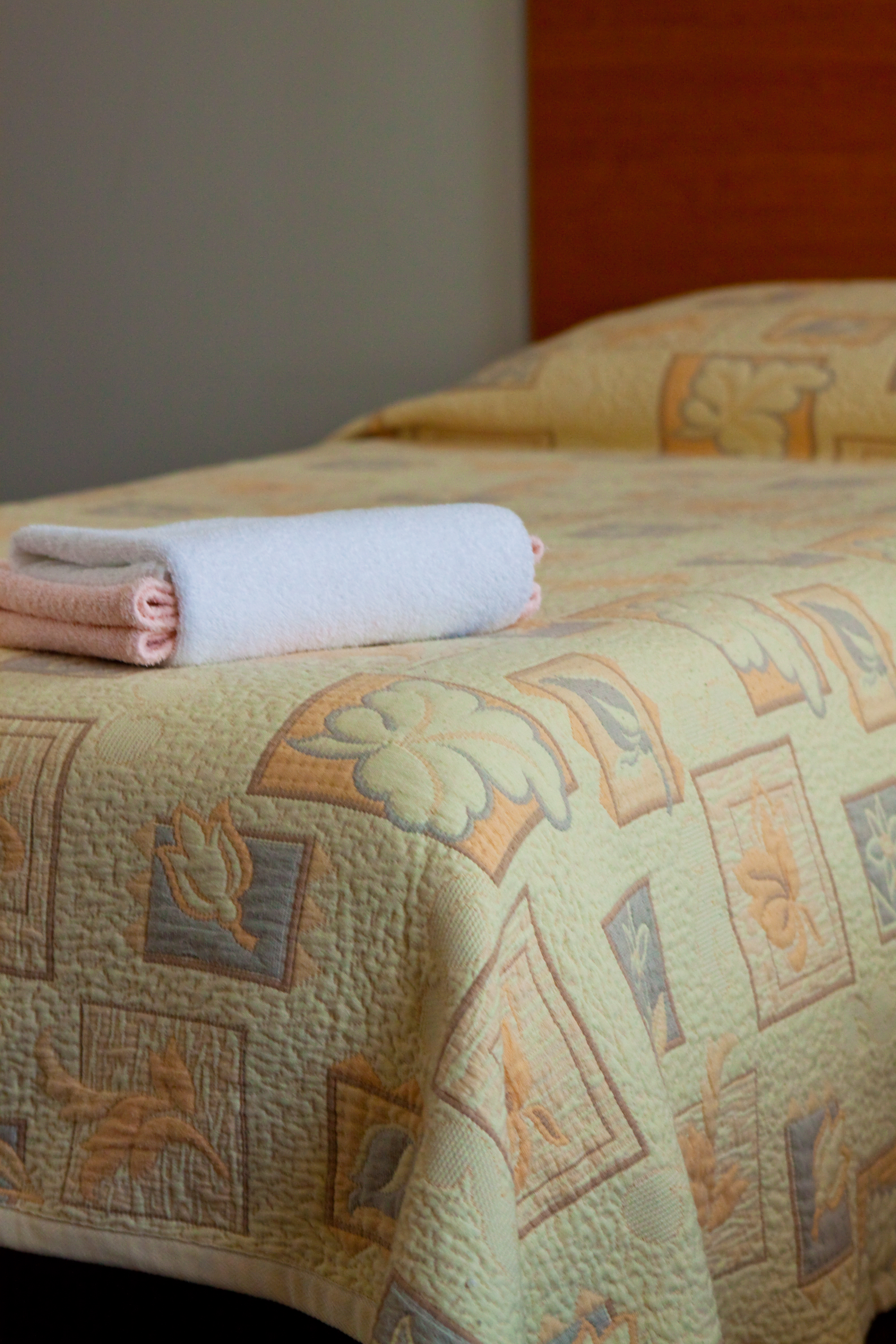 Фото Парк Лэйн Инн