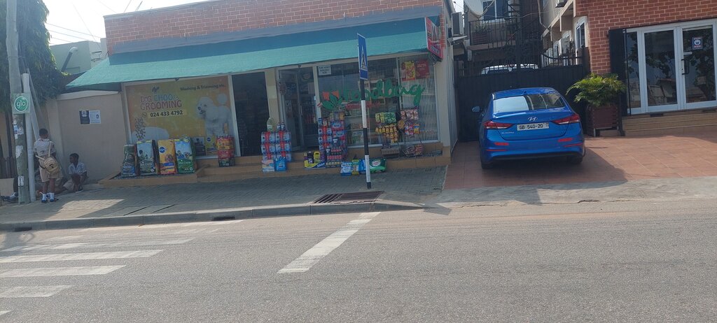 Pet shop Dog Choo and Grooming, Earth, photo