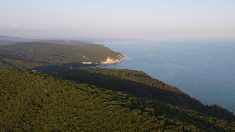 Фото Примула