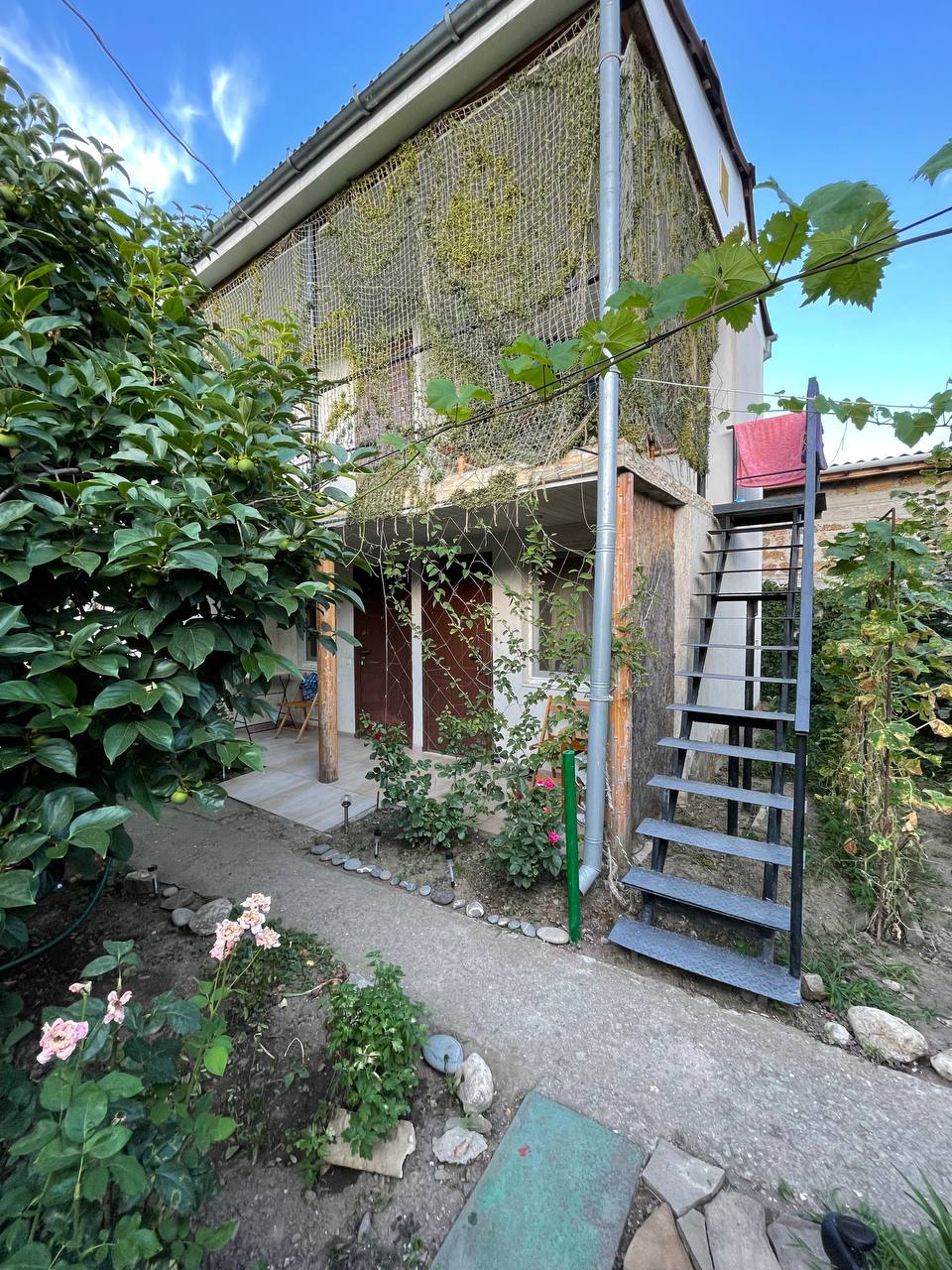 Фото У Марселя