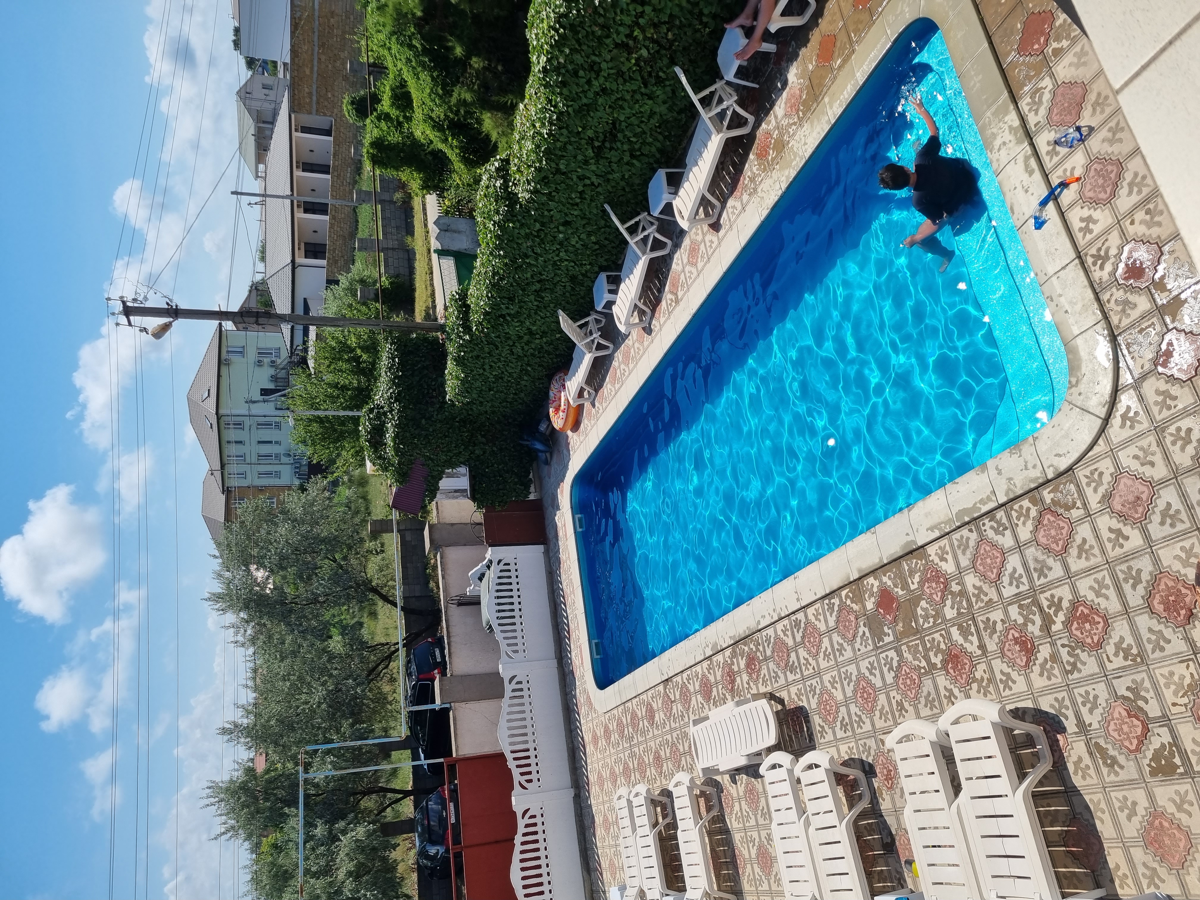 Фото Магнолия