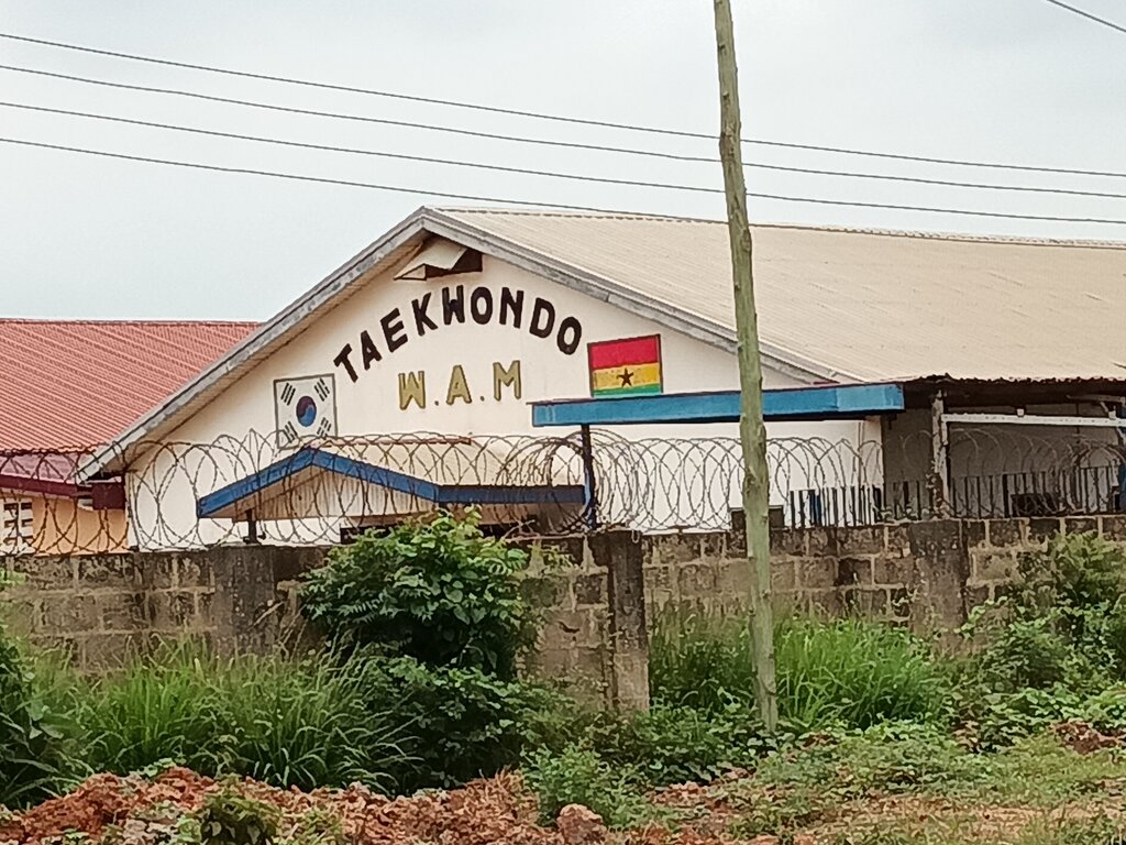 Training Taekwondo W. A. M, Earth, photo