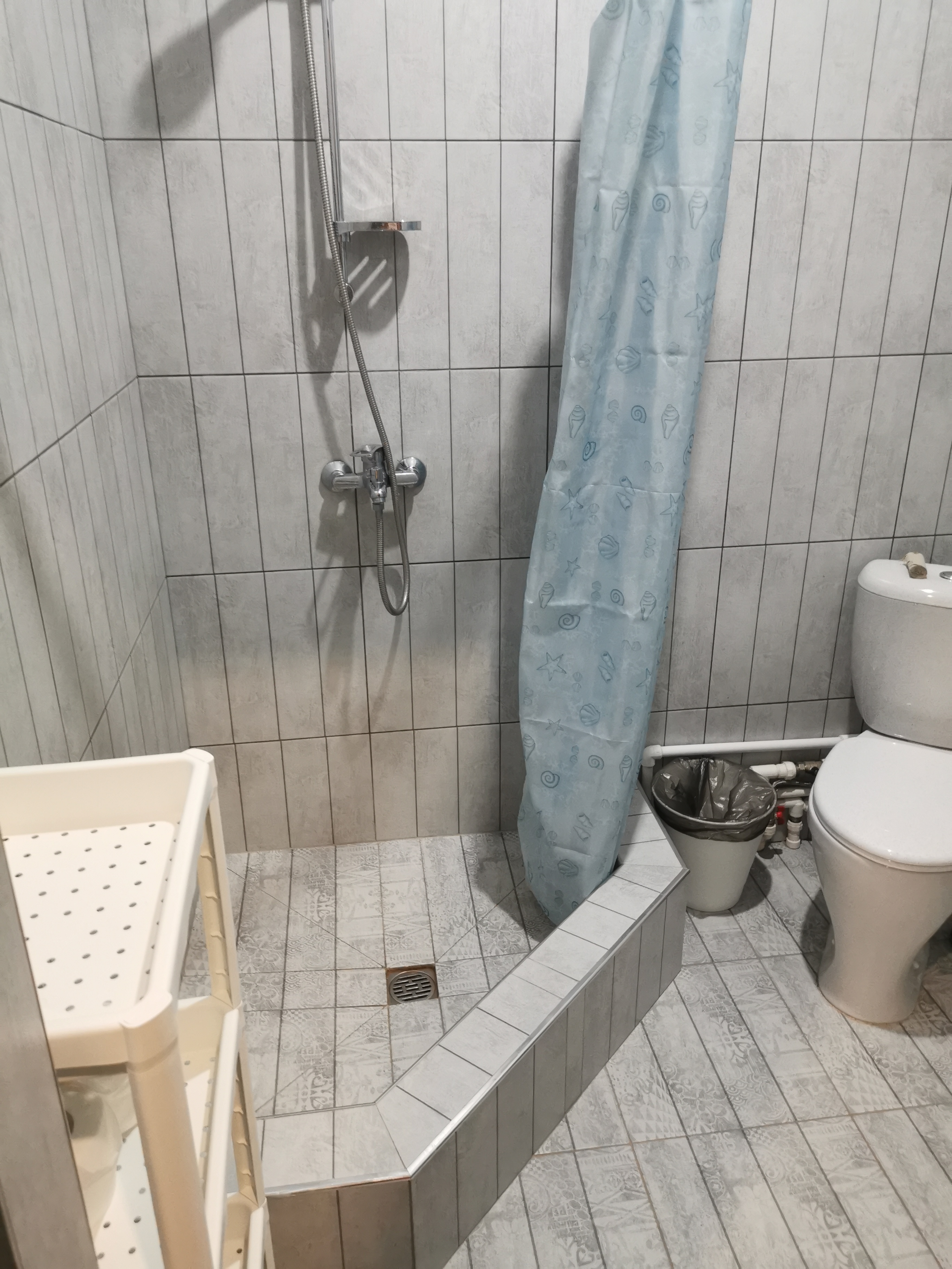 Фото Шафран