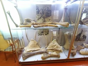 Историко-археологический музей (Naberezhnaya ulitsa No:1, selo Yudinovo), müzeler ve sanat galerileri  Brianskaya oblastından