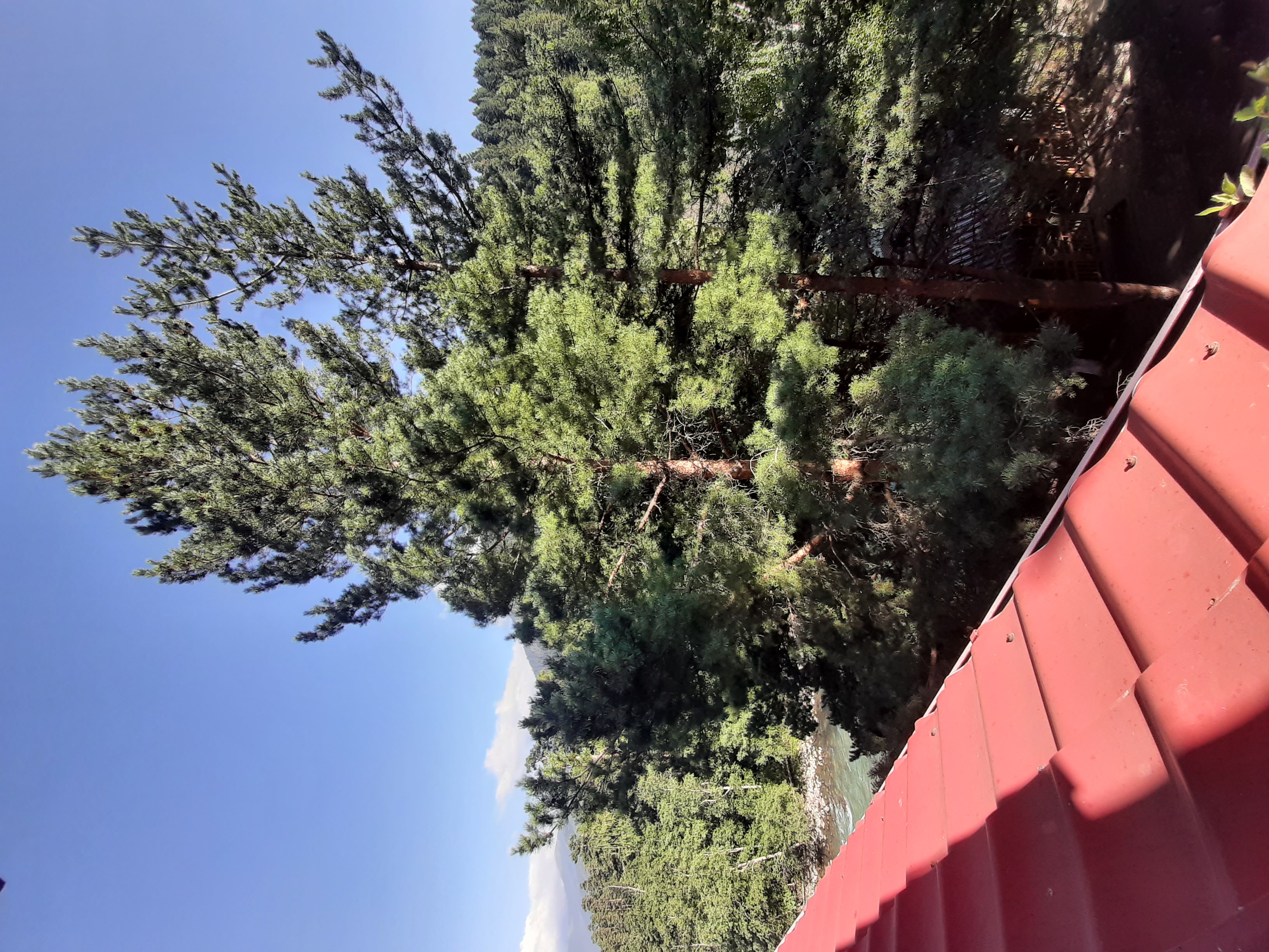 Фото Красная скала