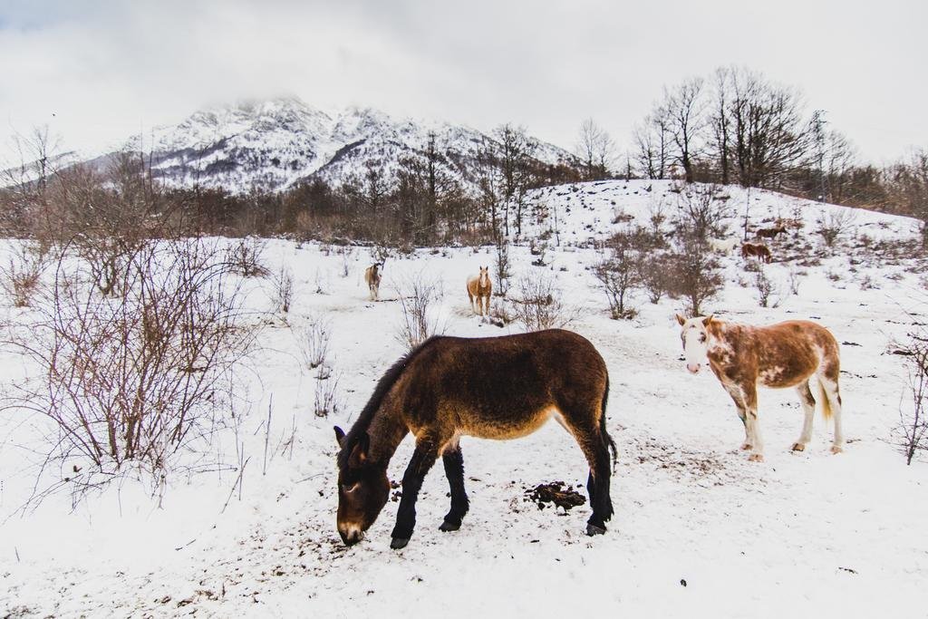 Фото Club Hotel Du Park