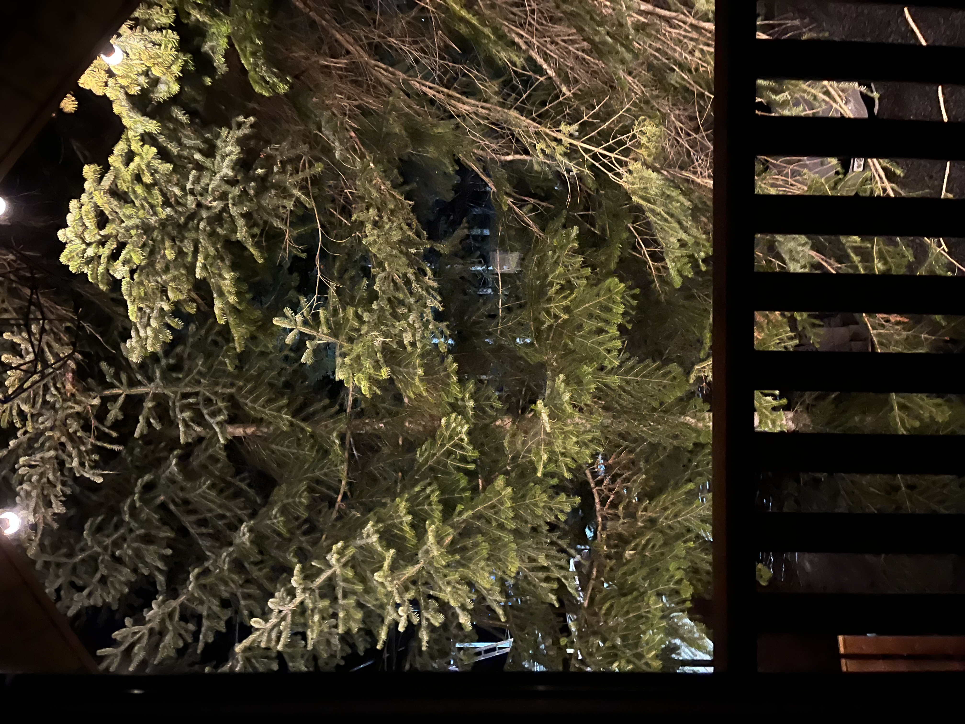 Фото Архыз Тревел