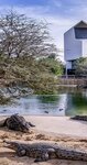 Okavango Room (Mushraif, Dubai), conference and meeting hall