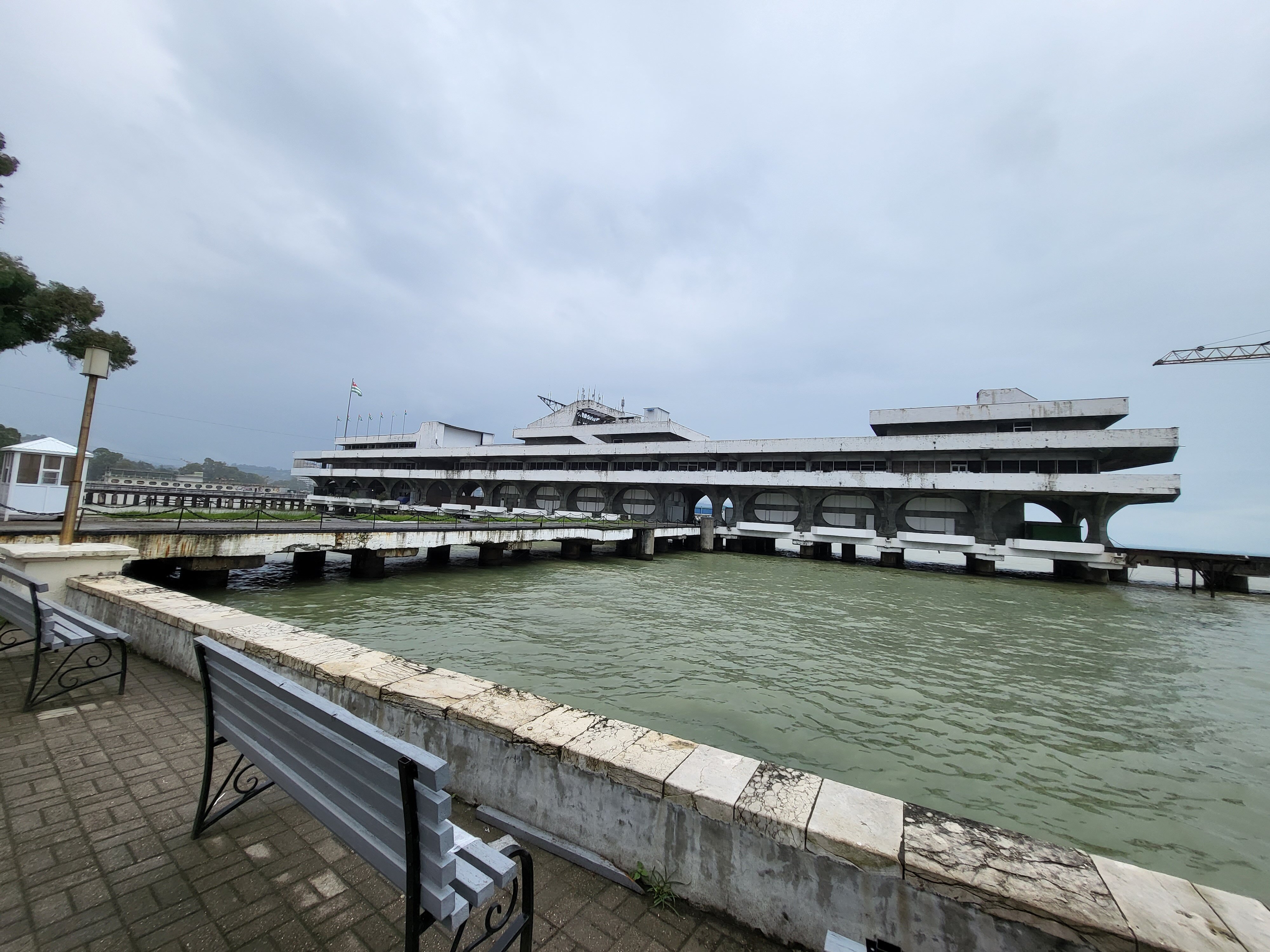 Фото Эвкалиптовая роща