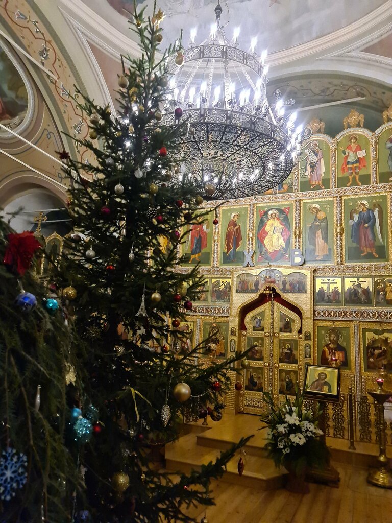 Православный храм Церковь Рождества Христова в Ильинском, Москва и Московская область, фото