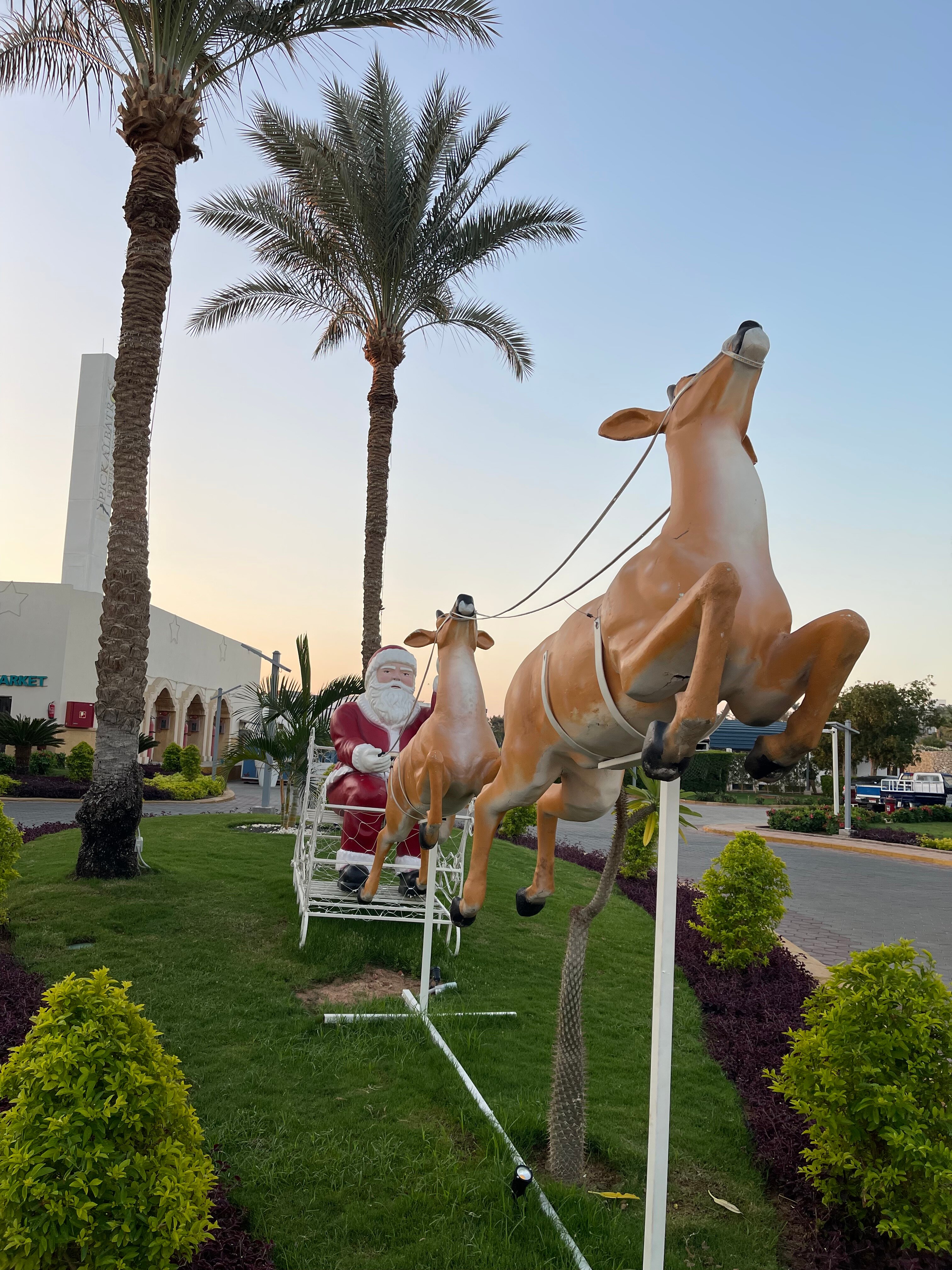 Фото Pickalbatros Royal Grand Resort