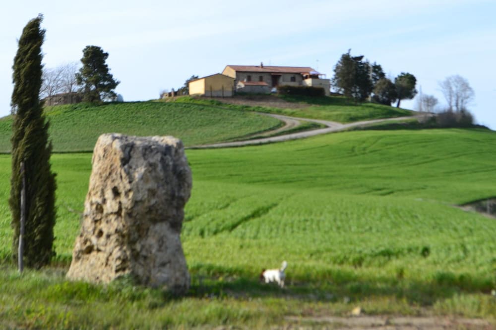 Фото Poggio alla Pietra 26
