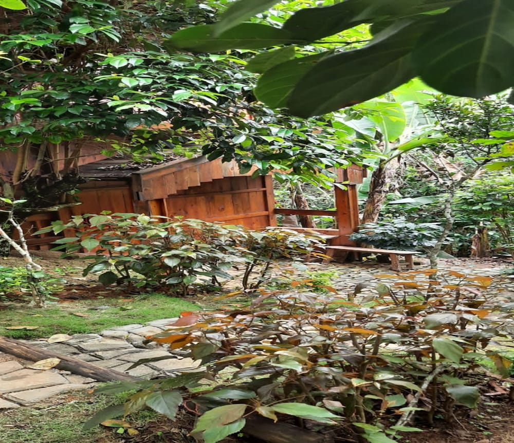 Фото Remas Resorts Adventure Park