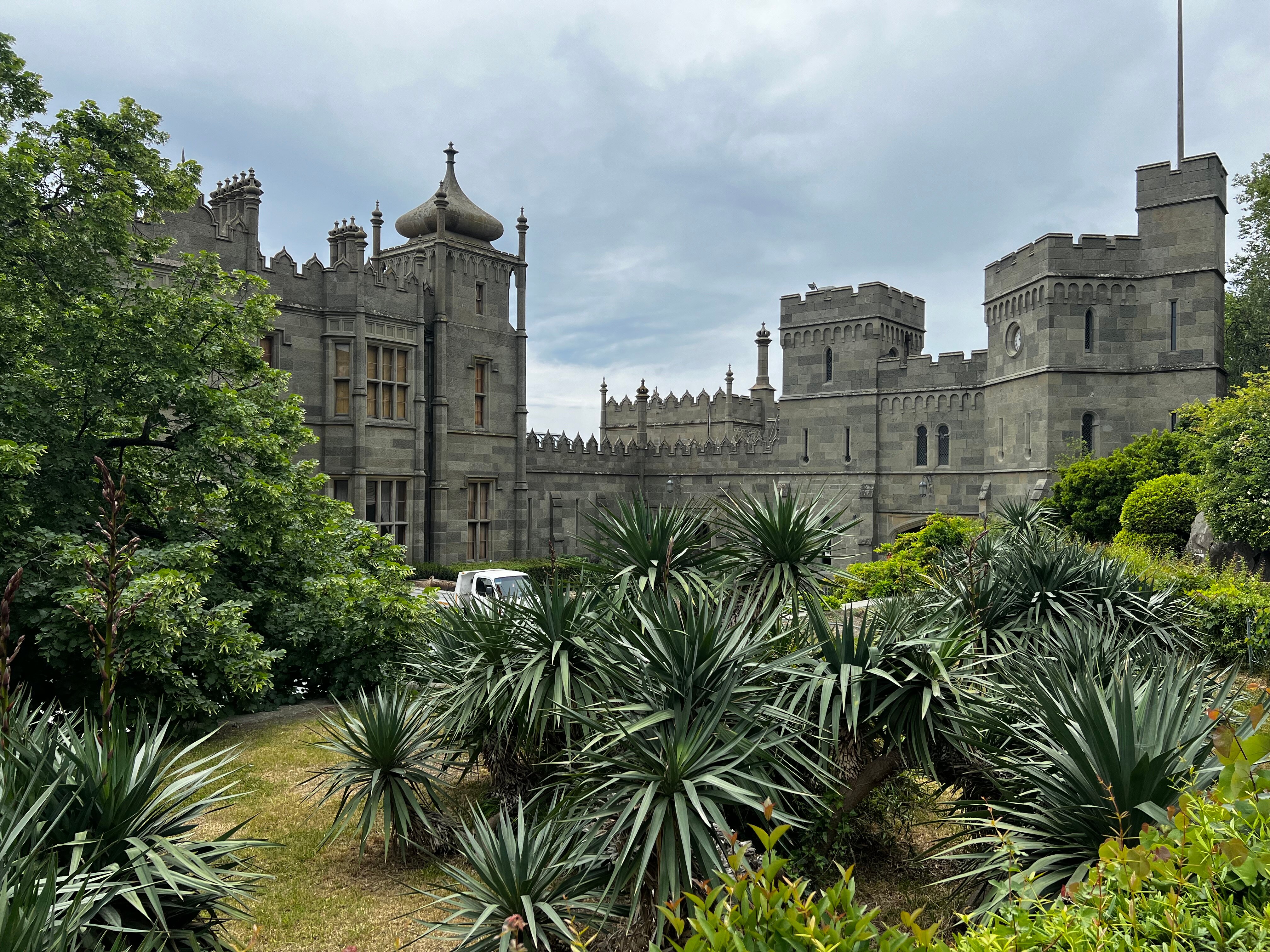 Фото Южный Кедр